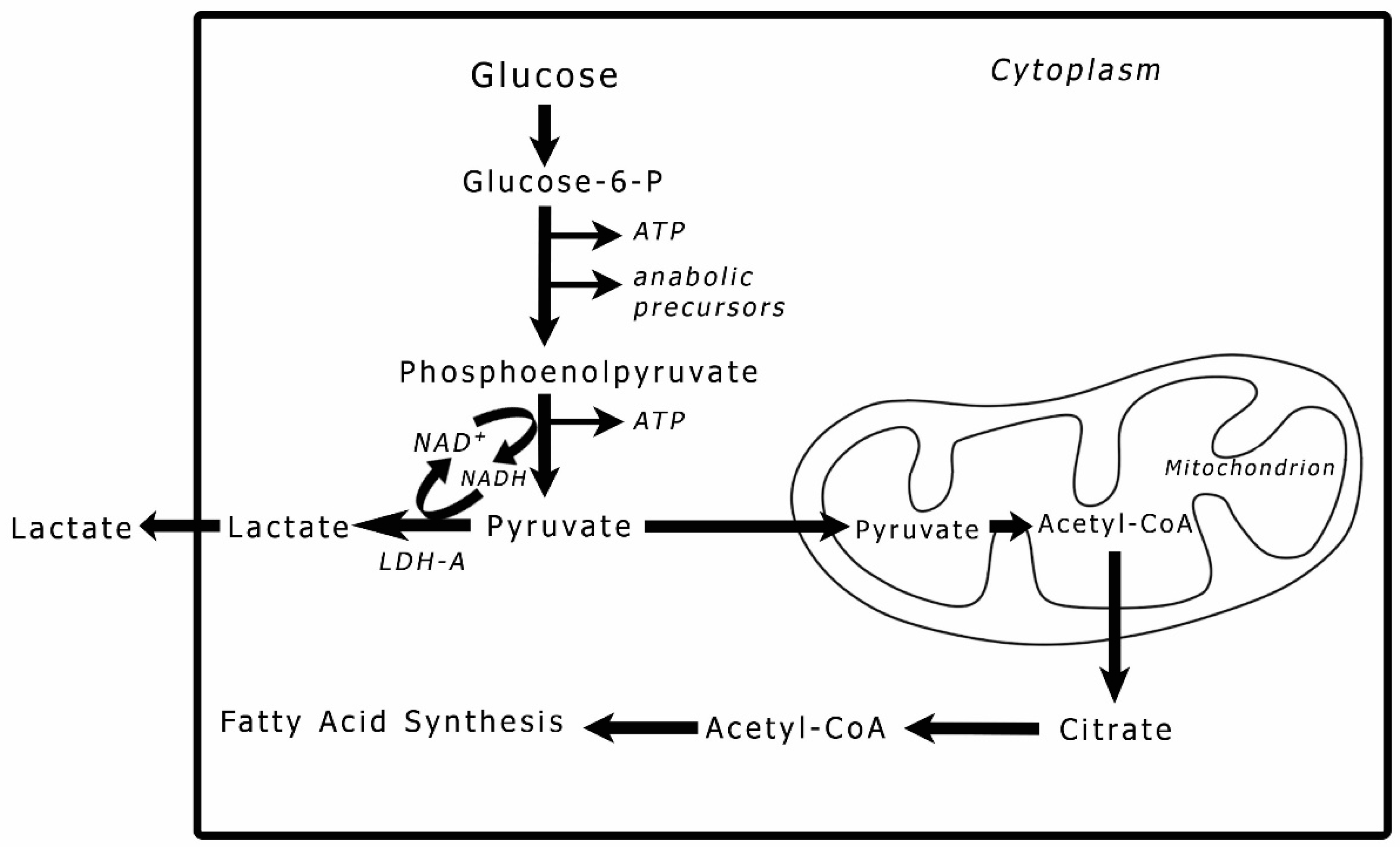Preprints 85746 g001