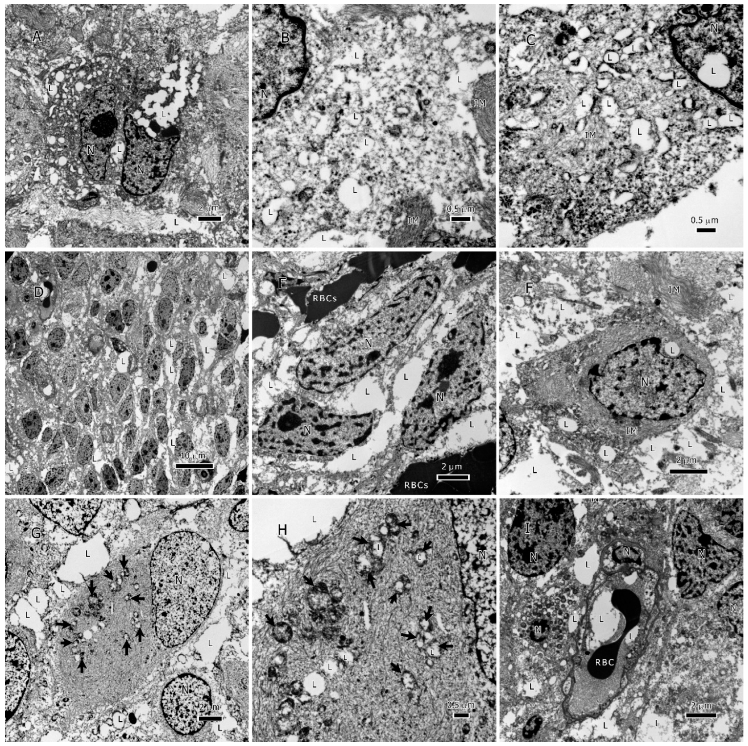 Preprints 85746 g003
