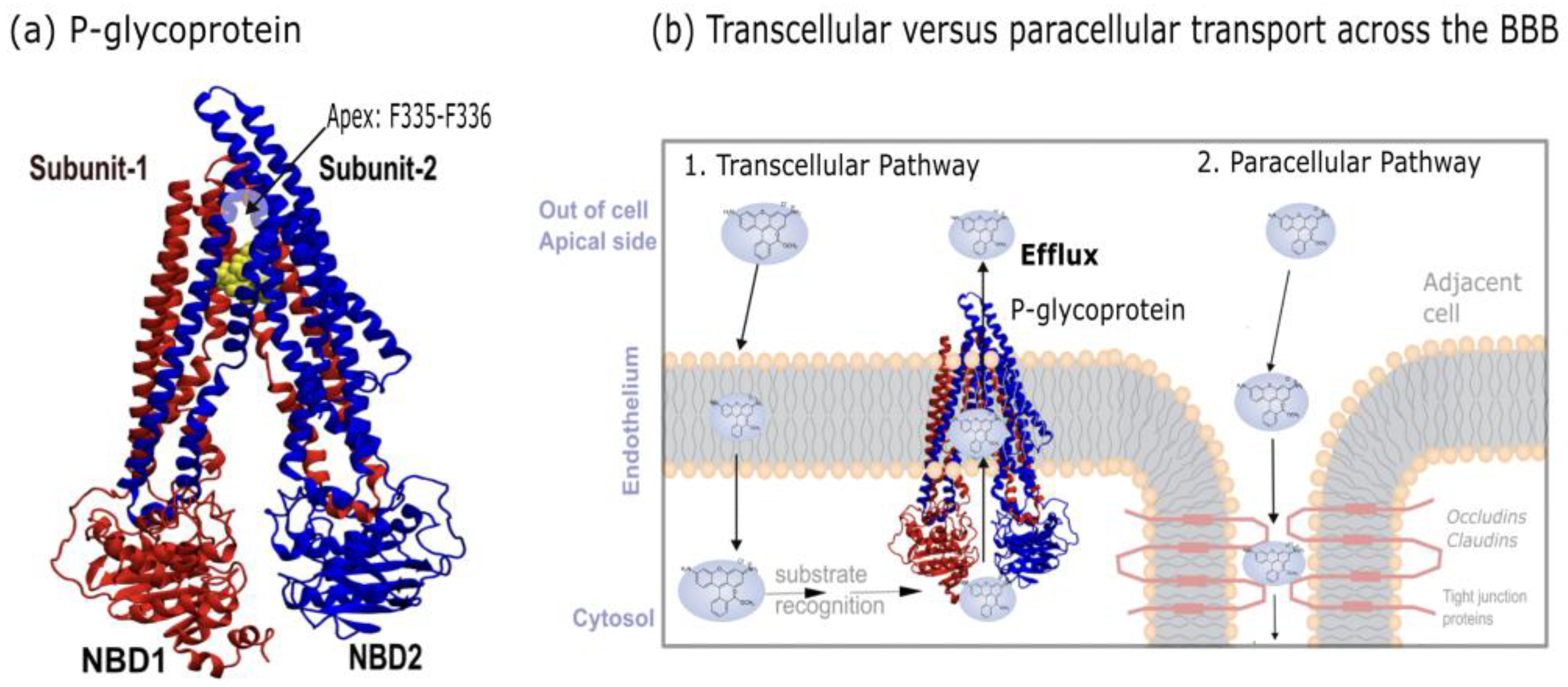 Preprints 173546 g001
