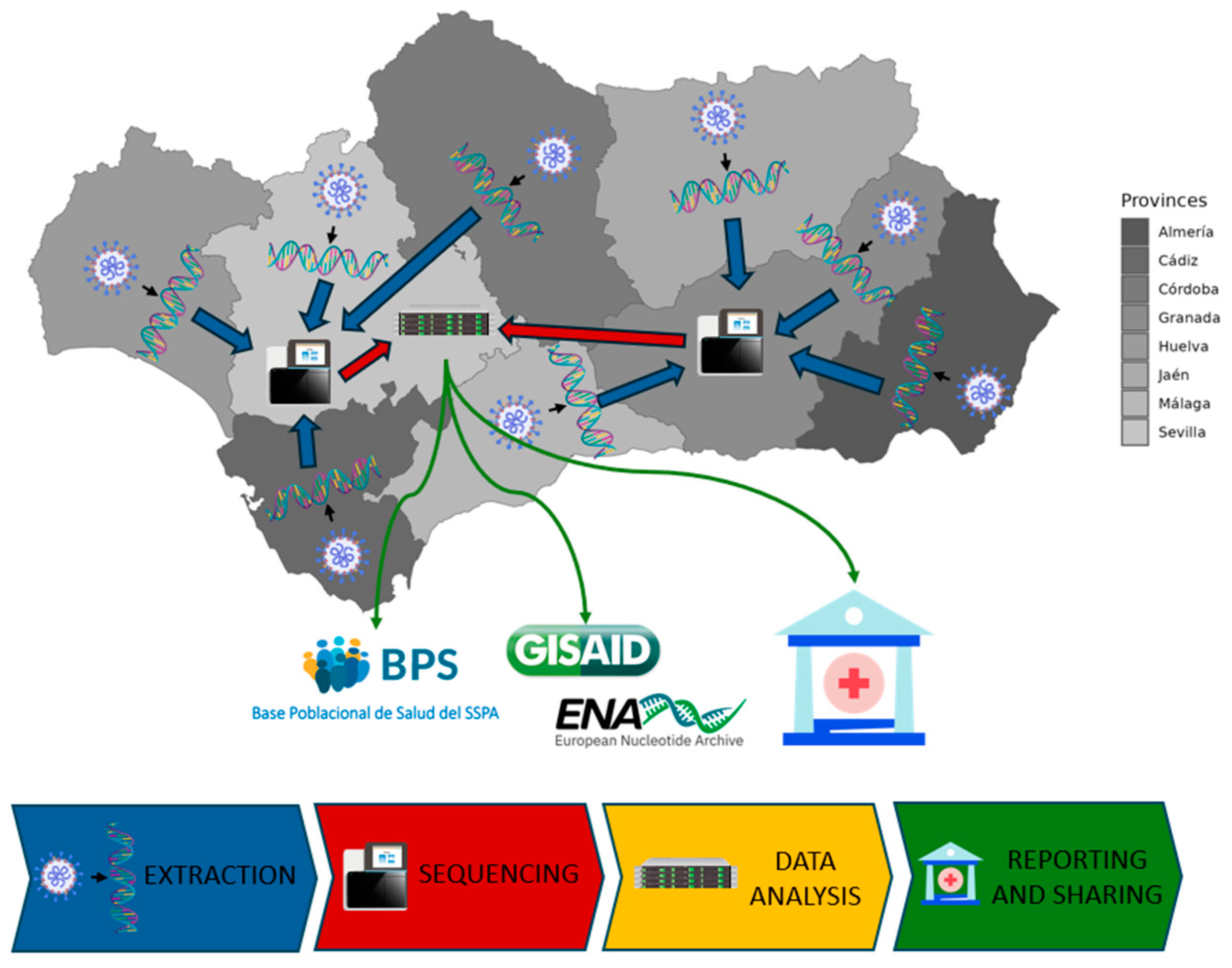 Preprints 151497 g001