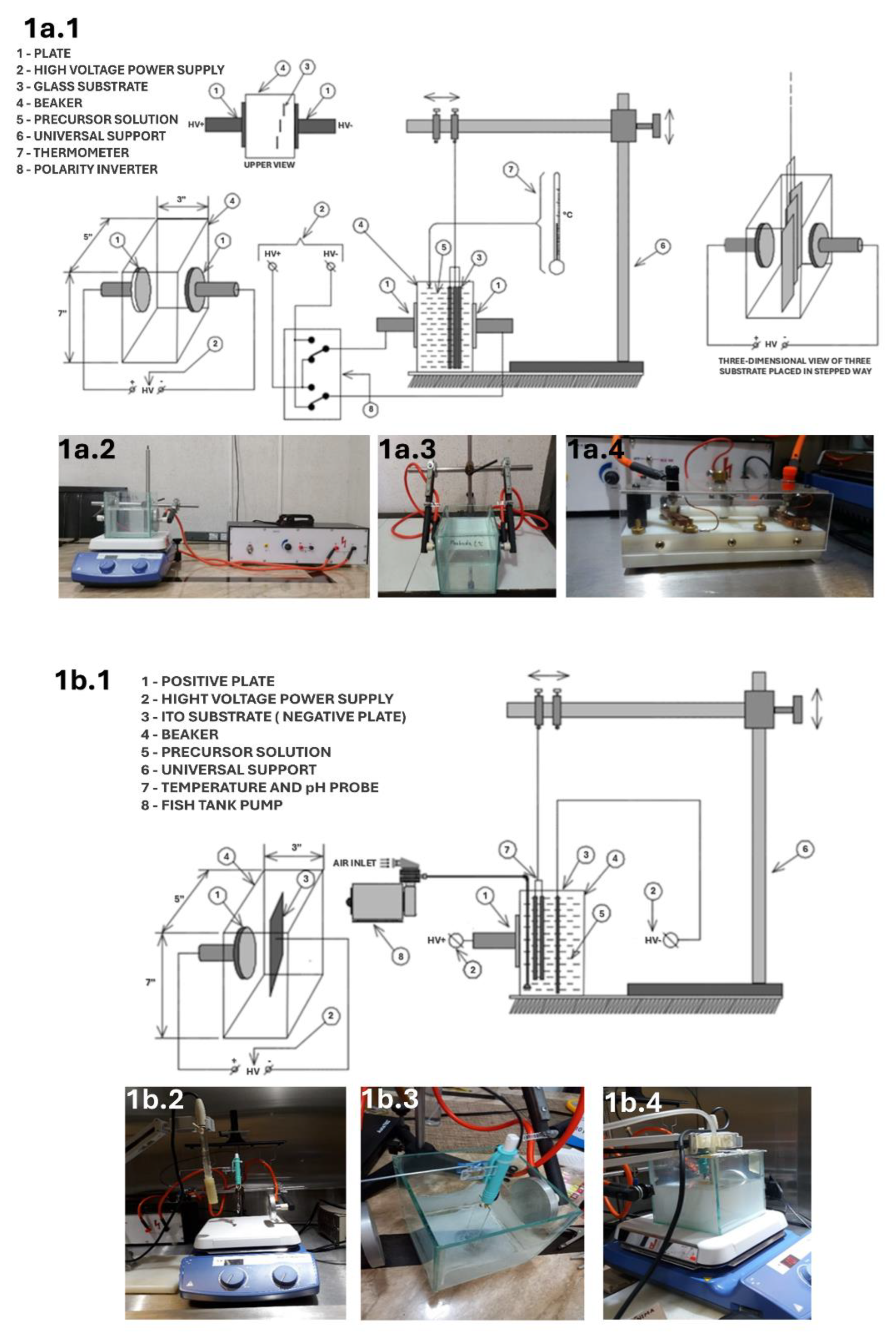 Preprints 164068 g001