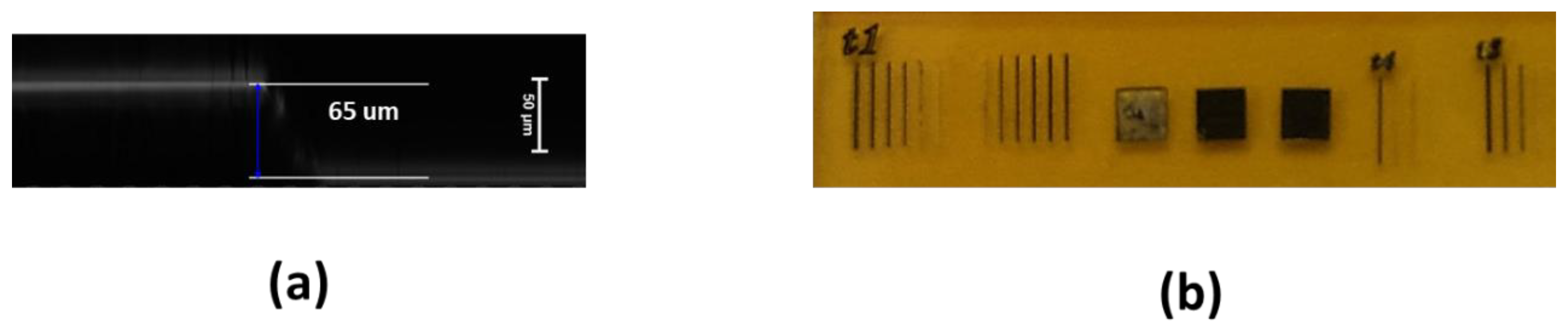 Preprints 157452 g001