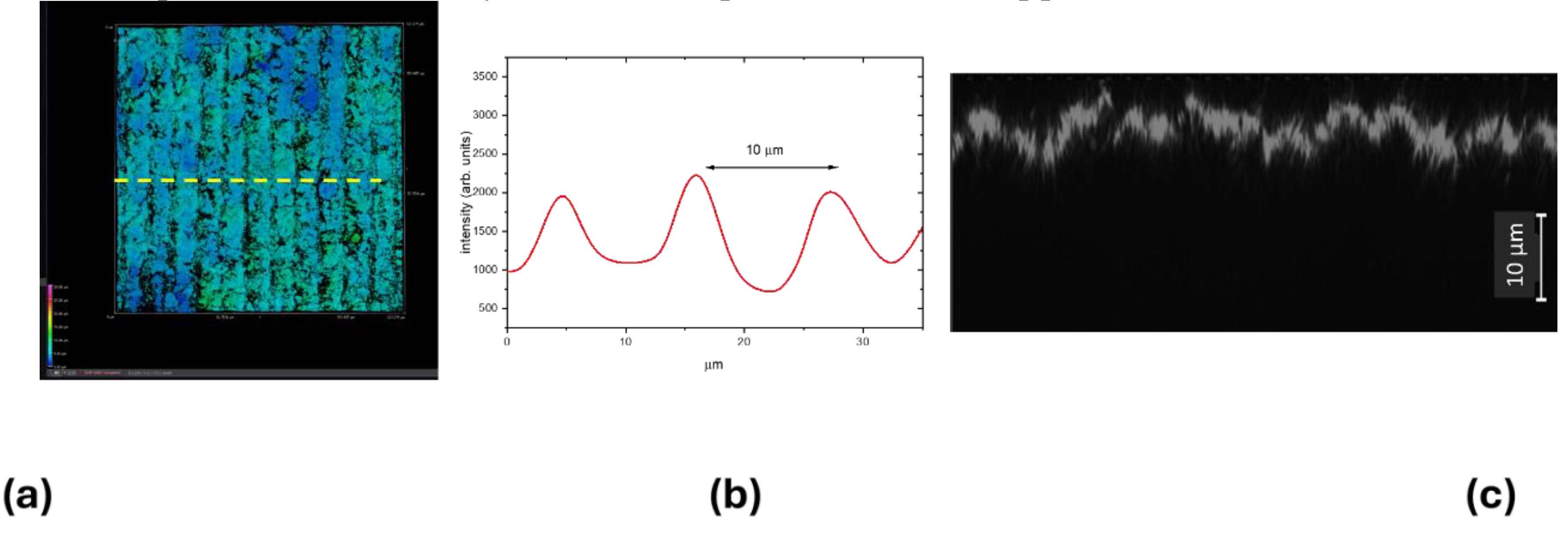 Preprints 157452 g005