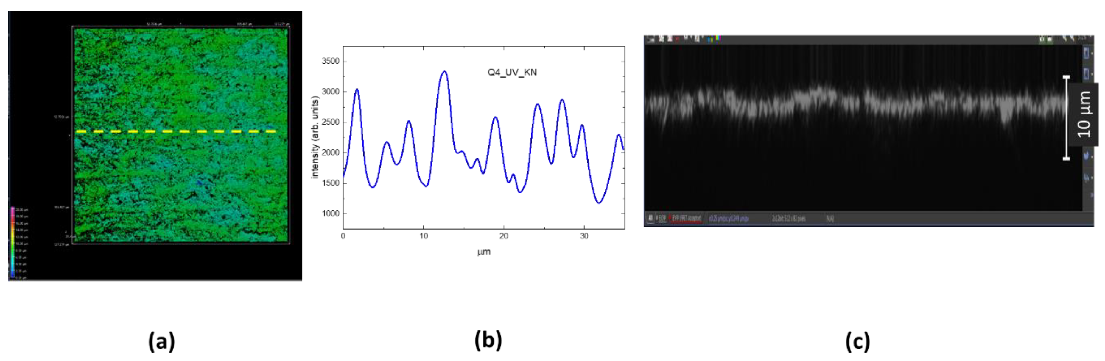 Preprints 157452 g006