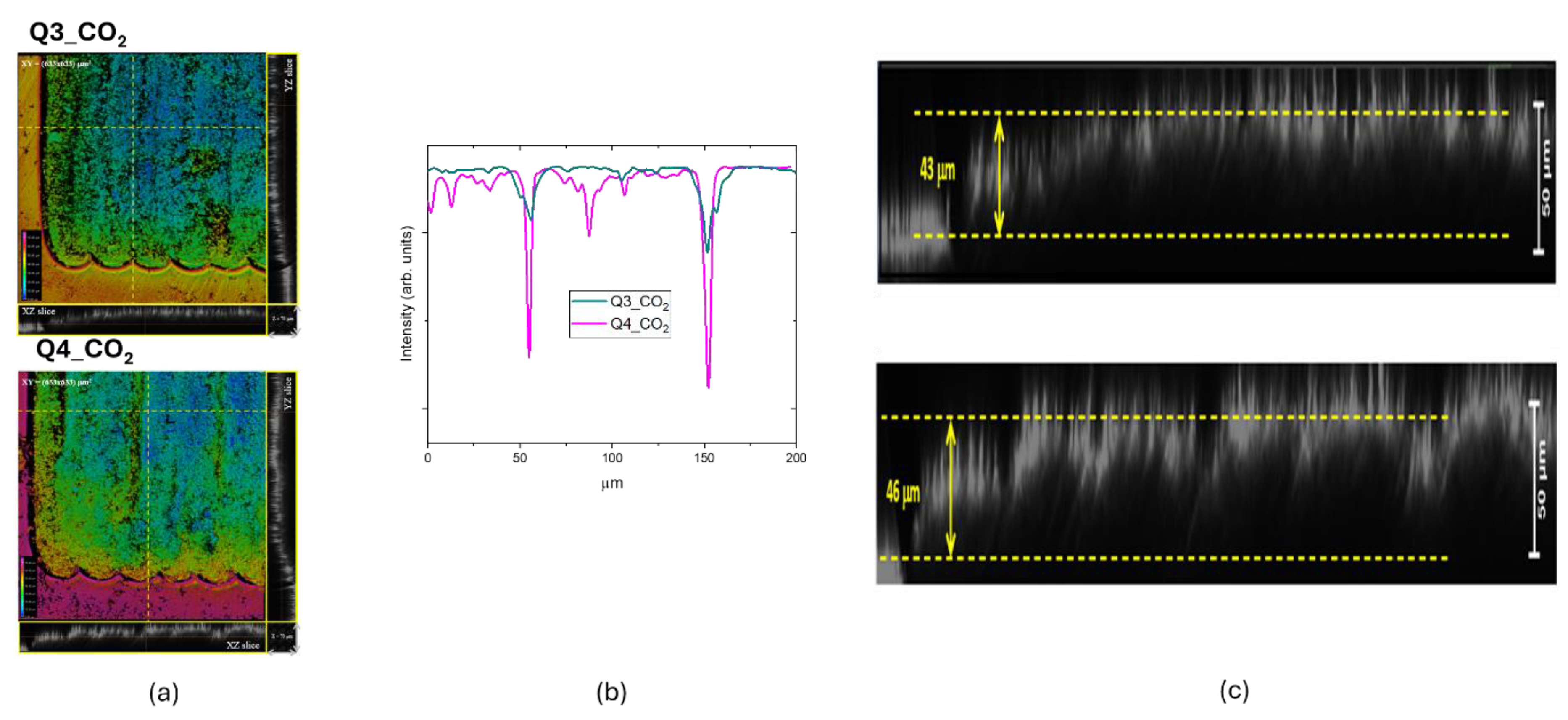 Preprints 157452 g010