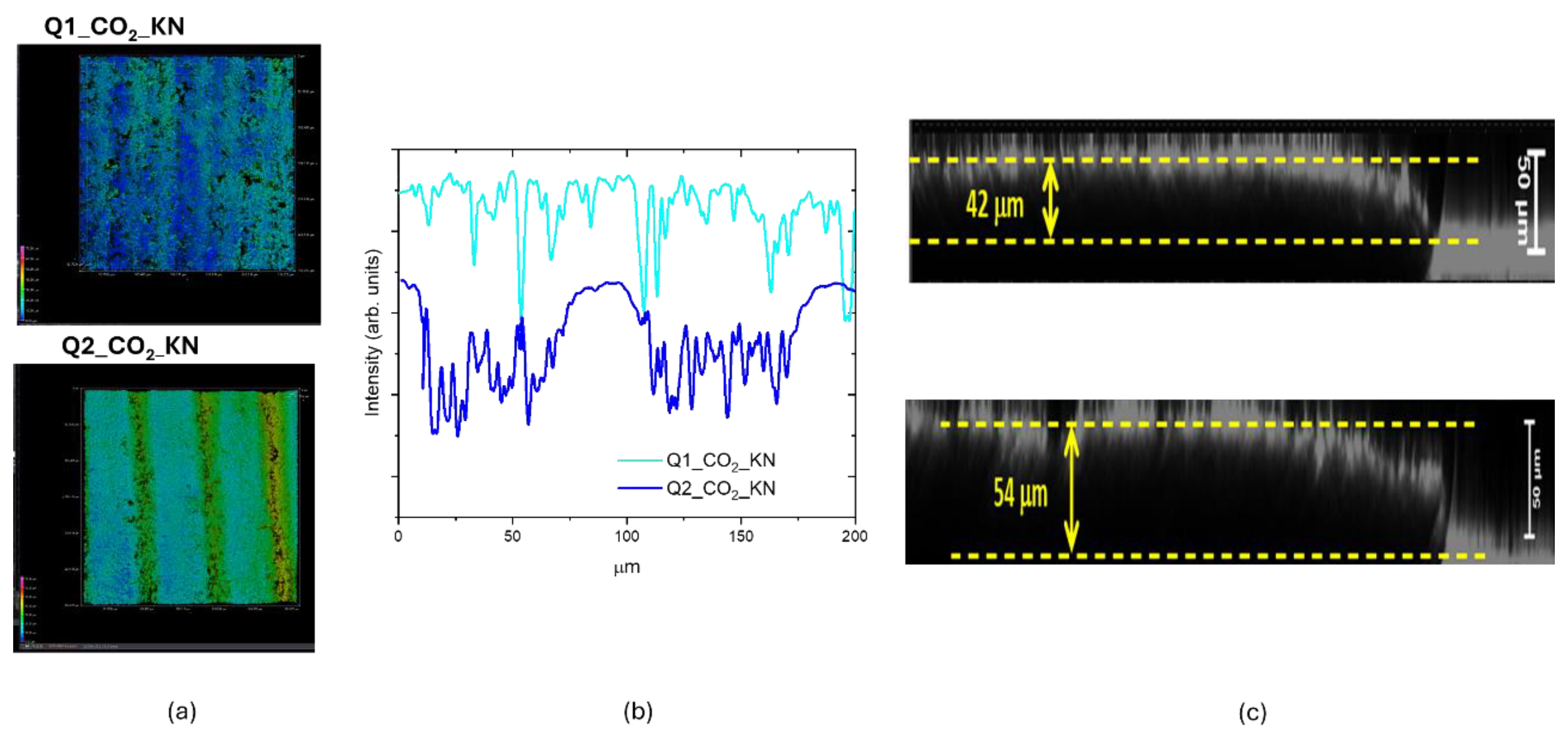 Preprints 157452 g011