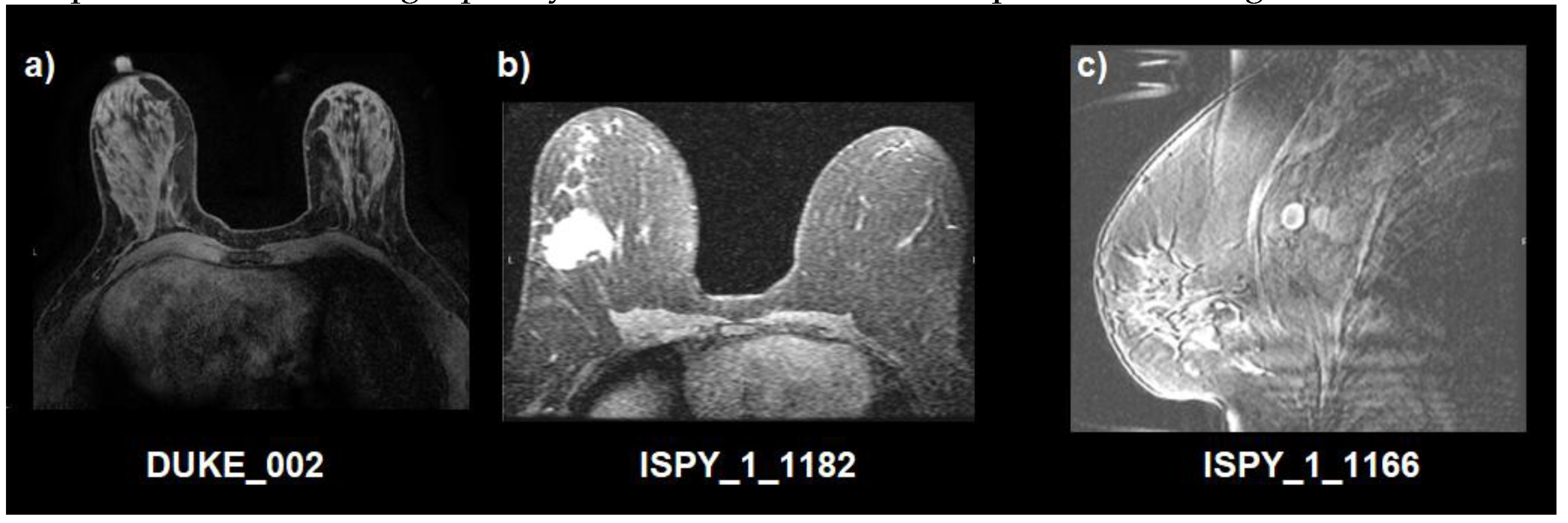 Preprints 182206 g002