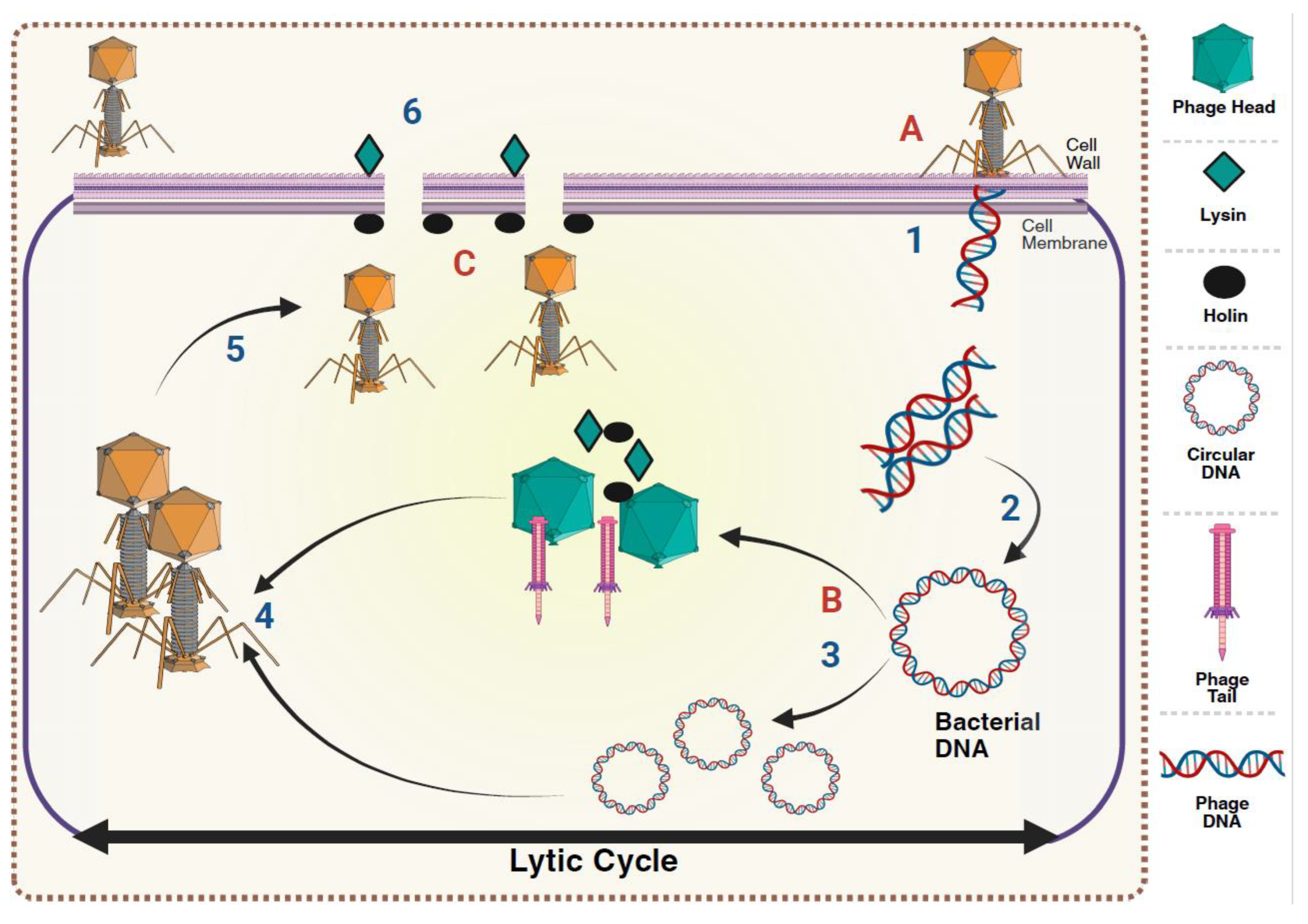 Preprints 209537 g001
