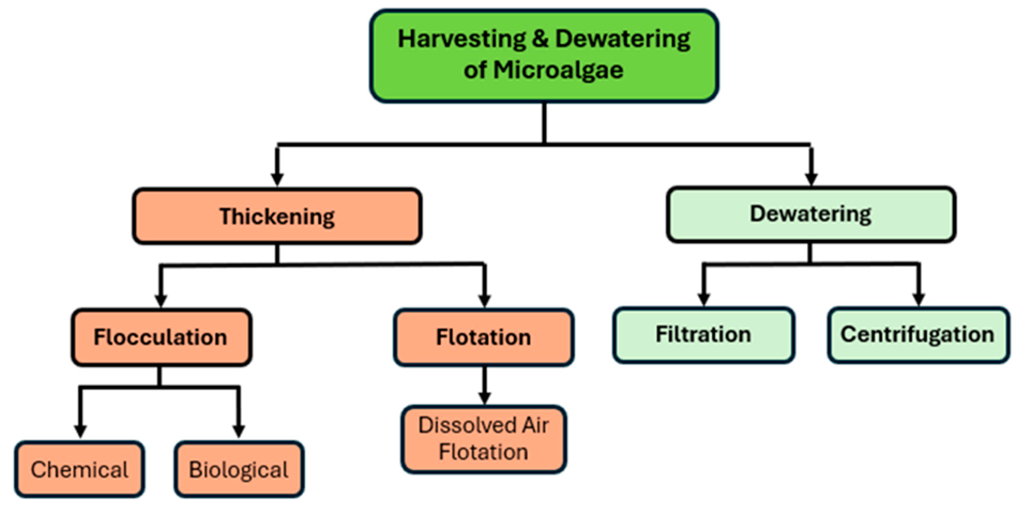 Preprints 165903 g001