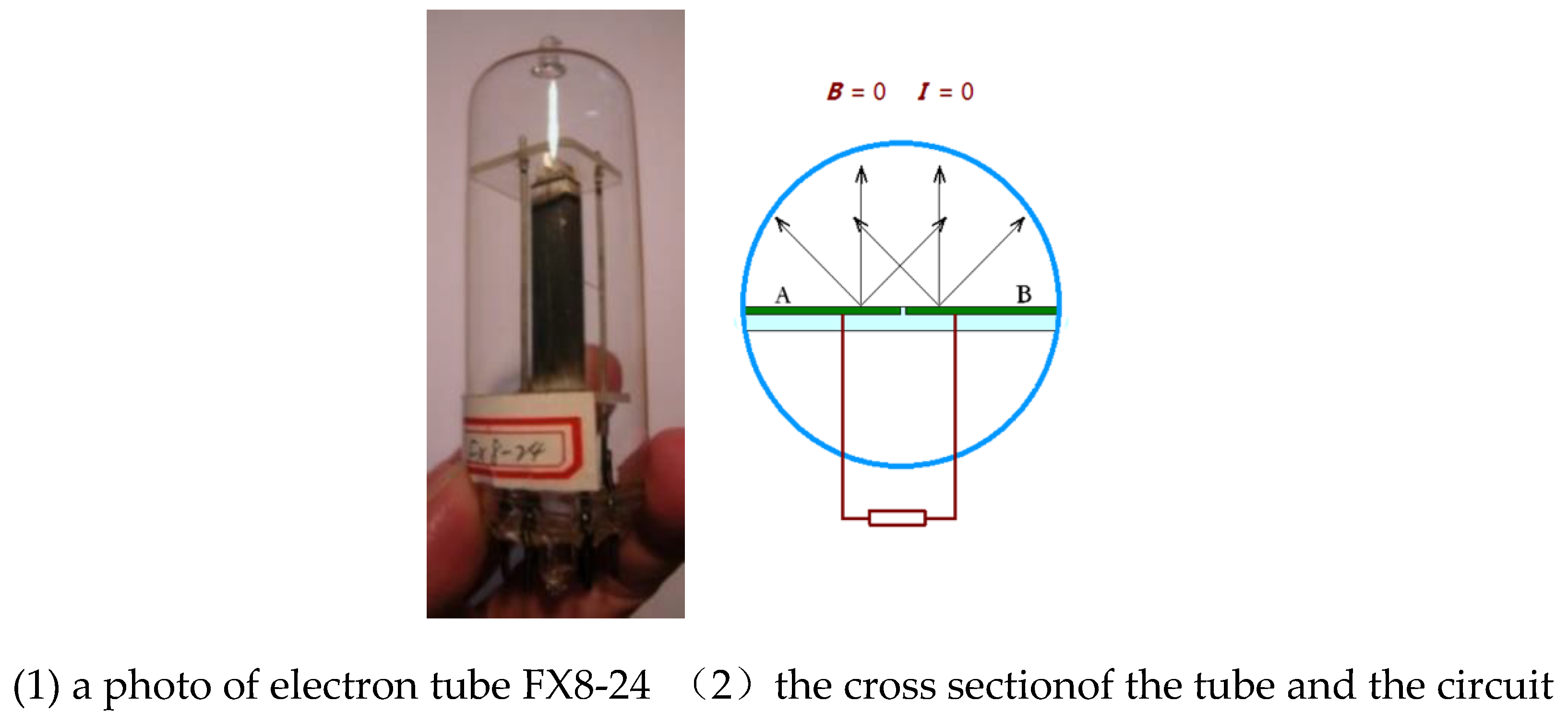 Preprints 193506 g005
