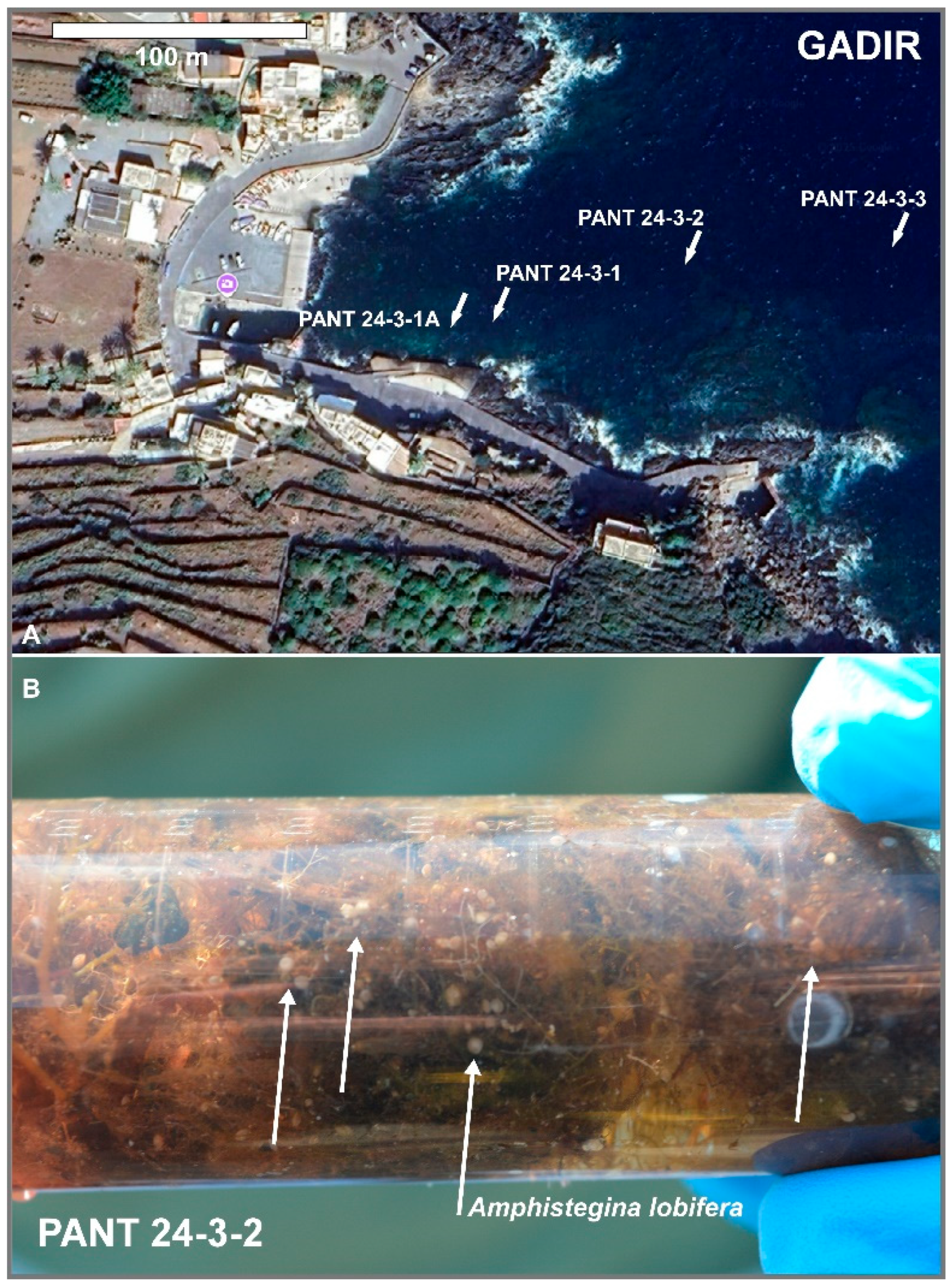 Preprints 171241 g002