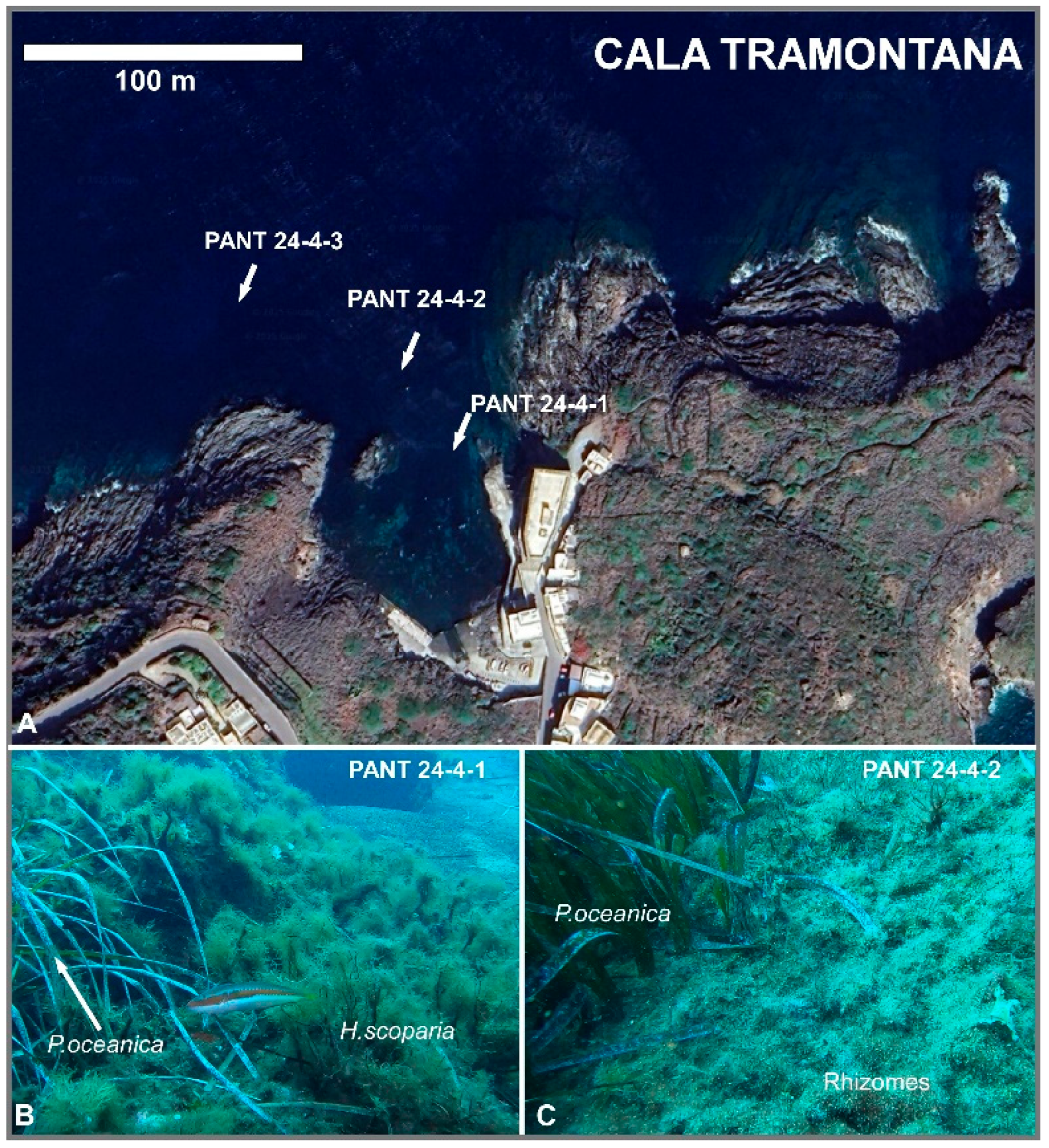 Preprints 171241 g003