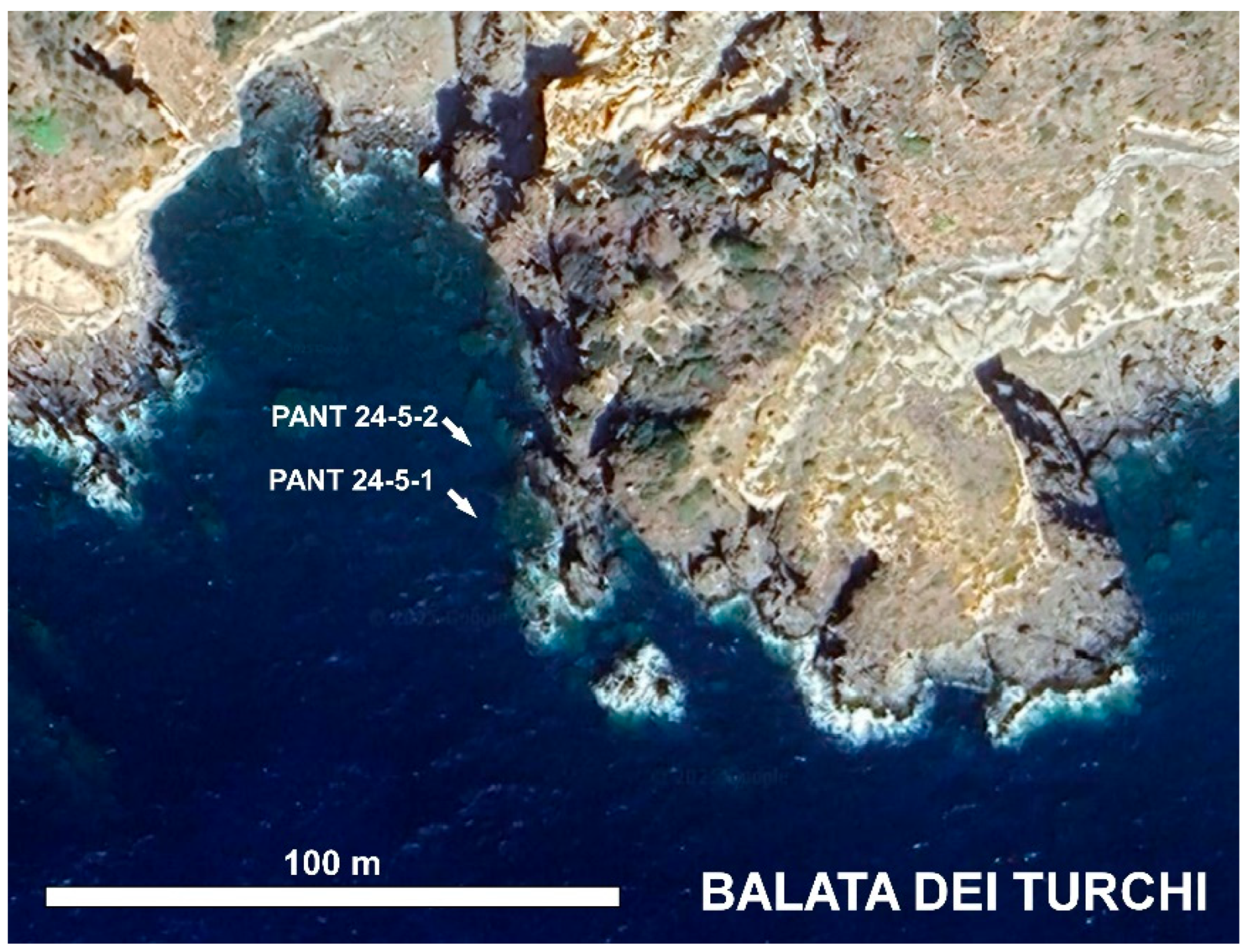 Preprints 171241 g004