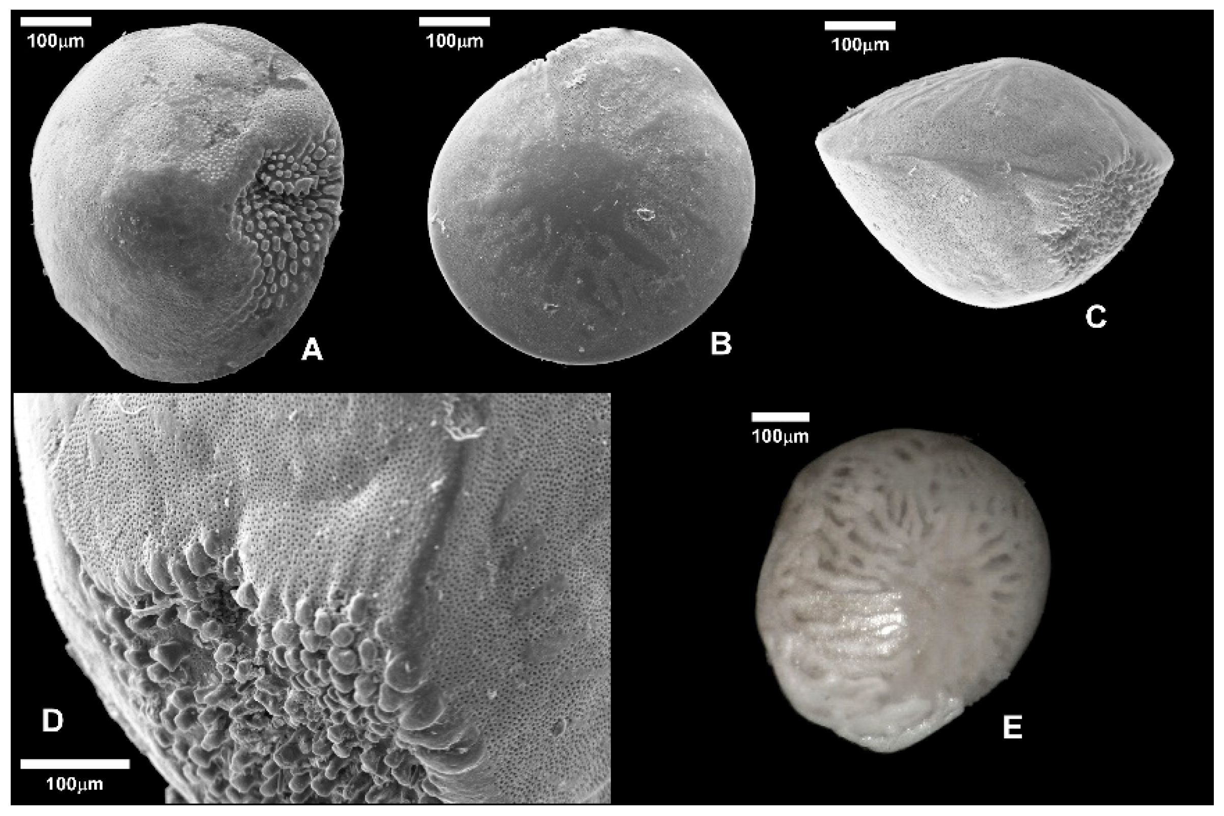 Preprints 171241 g007