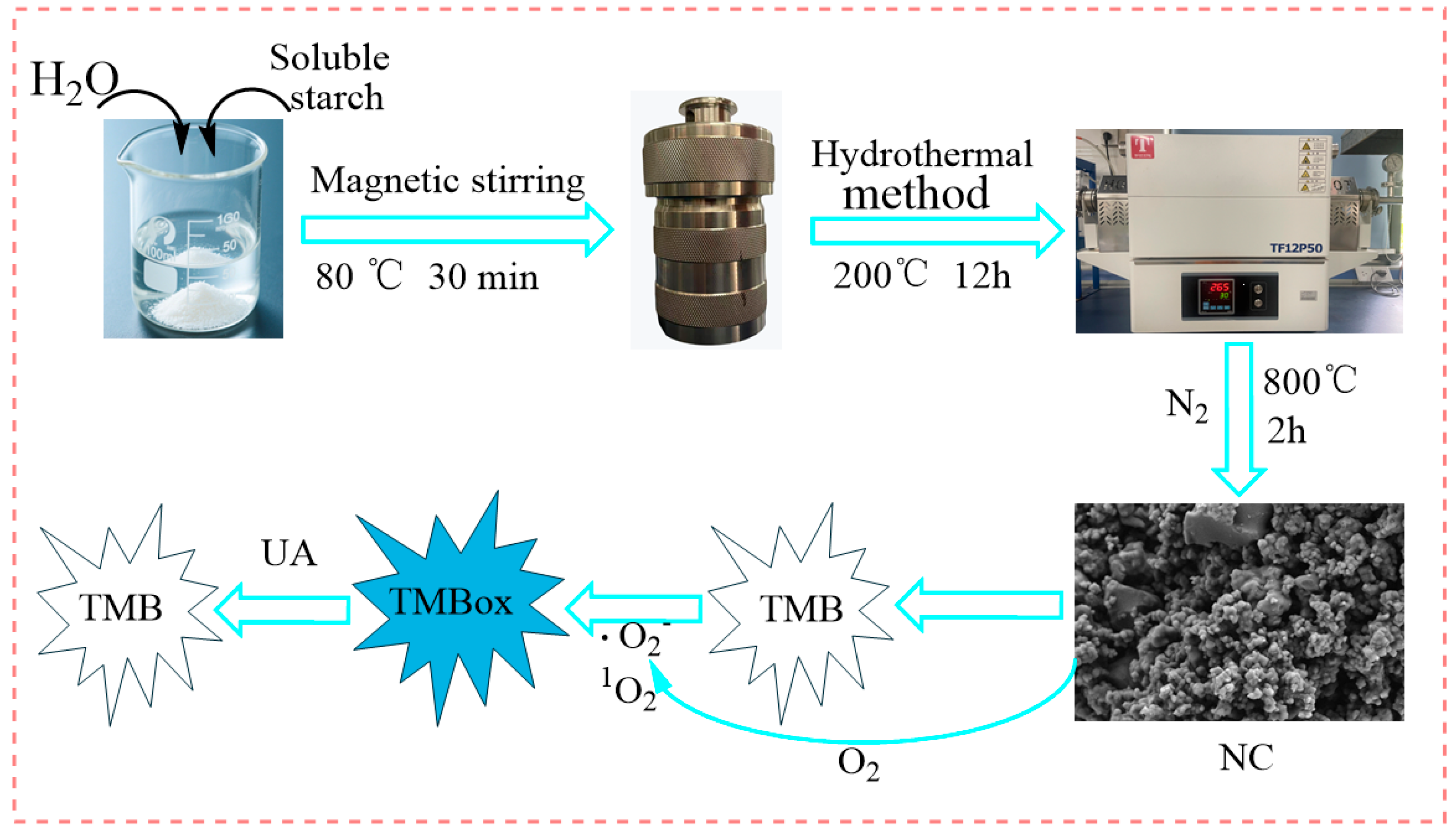 Preprints 187791 g001