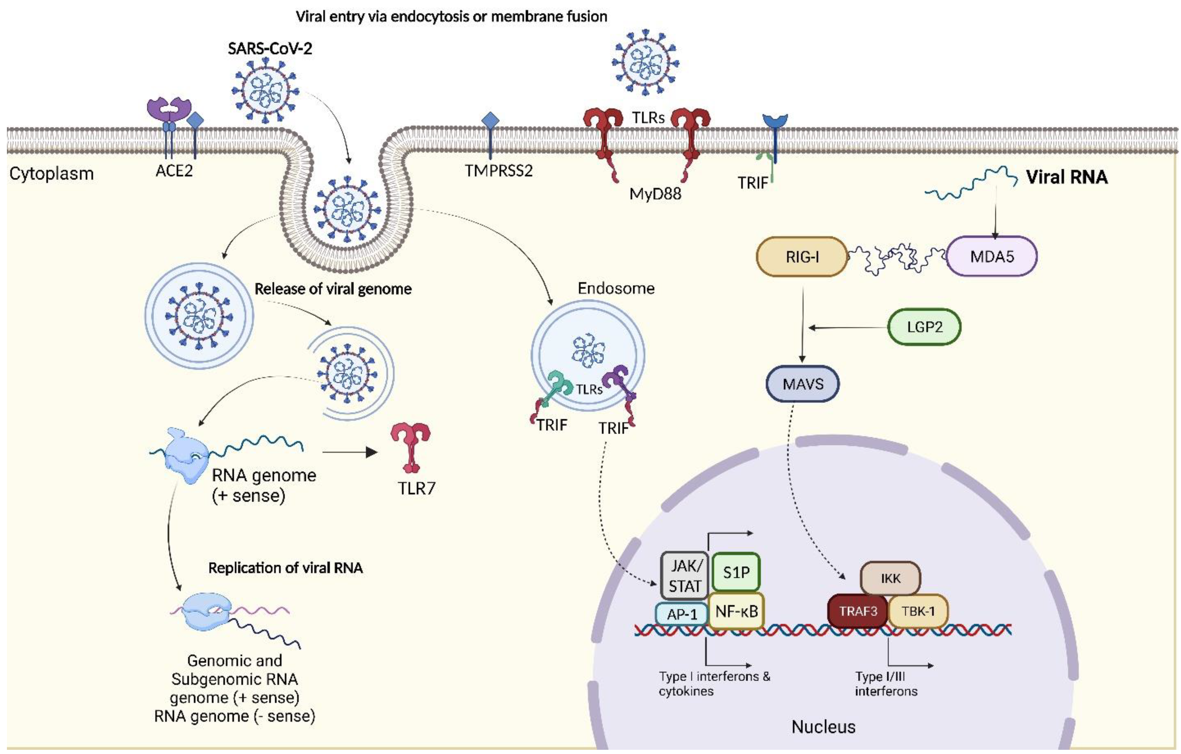 Preprints 80611 g001