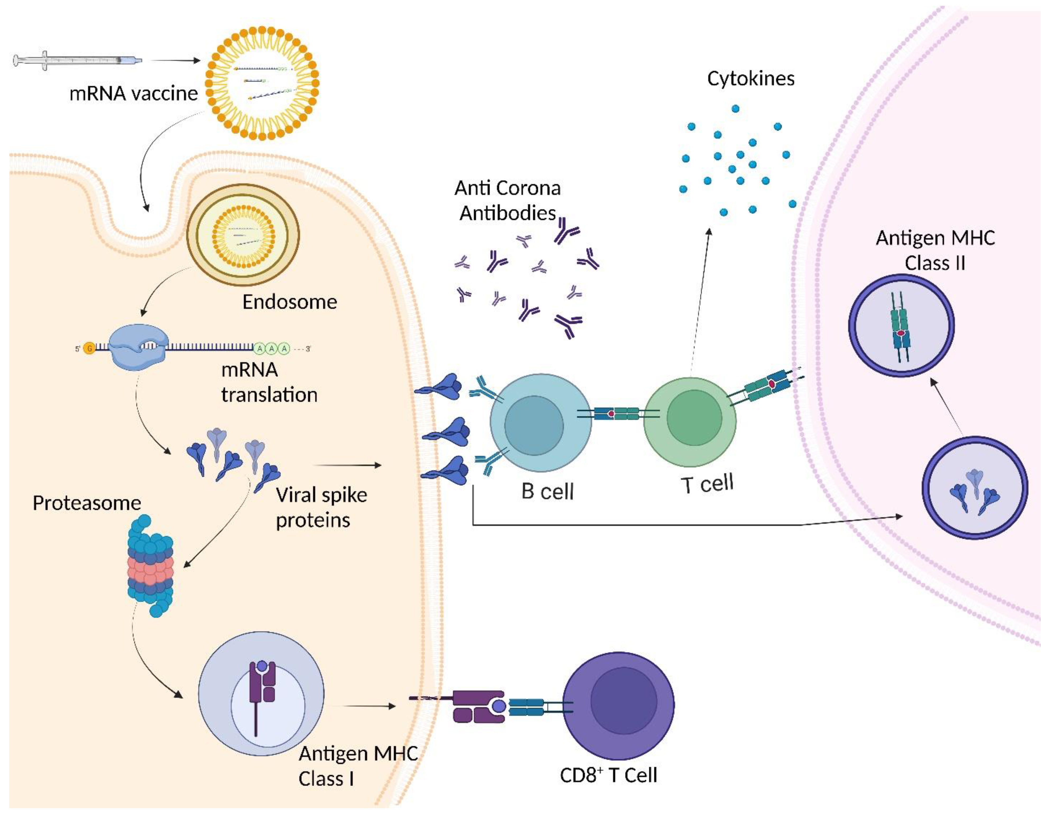 Preprints 80611 g004