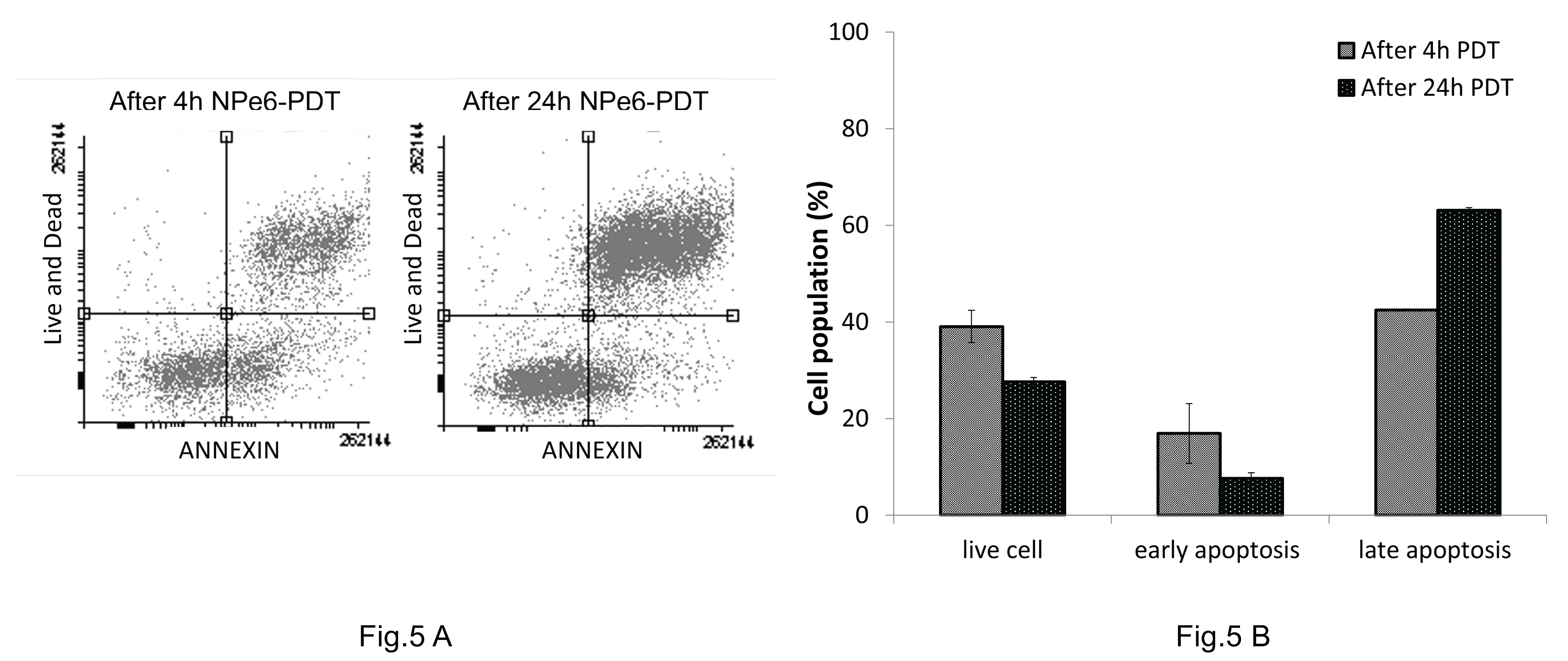 Preprints 163462 g005