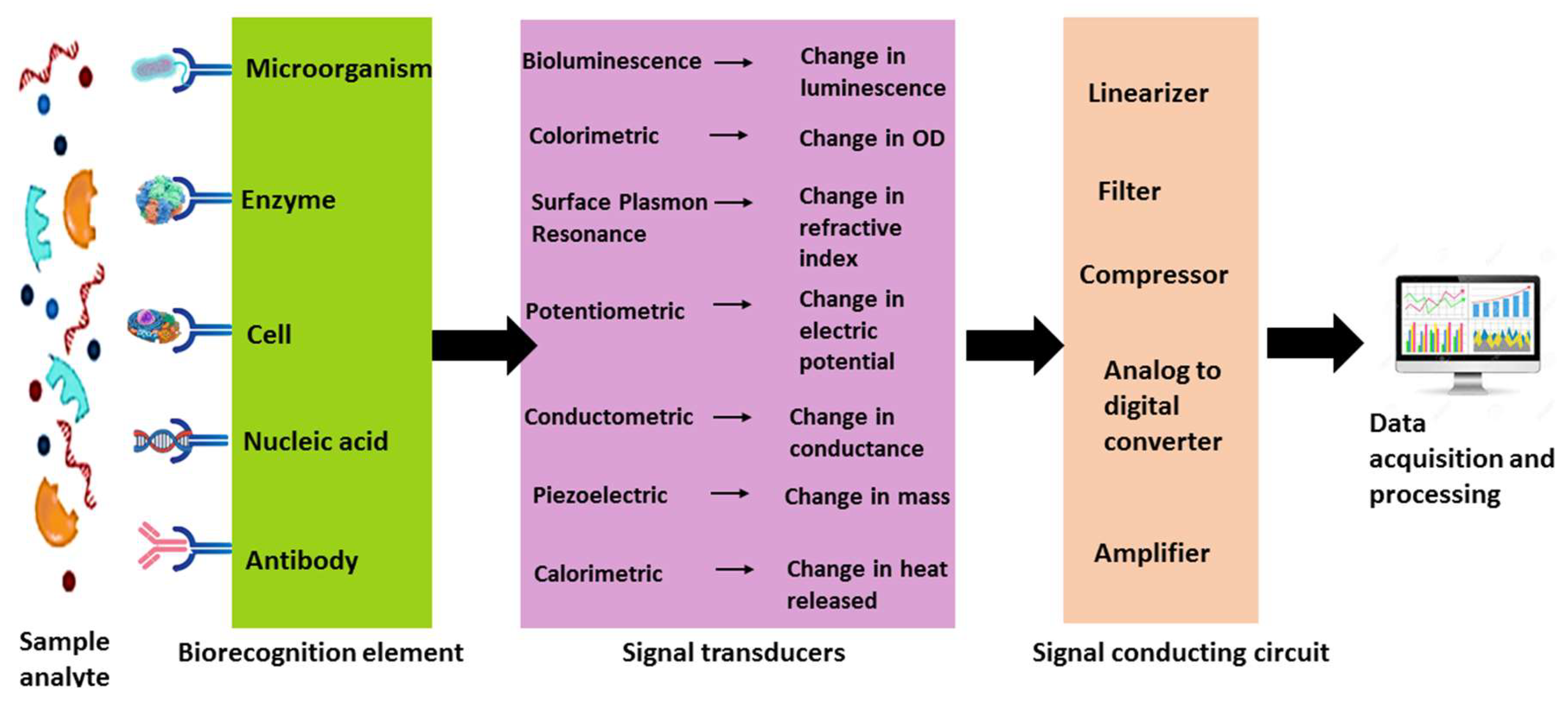 Preprints 189434 g003
