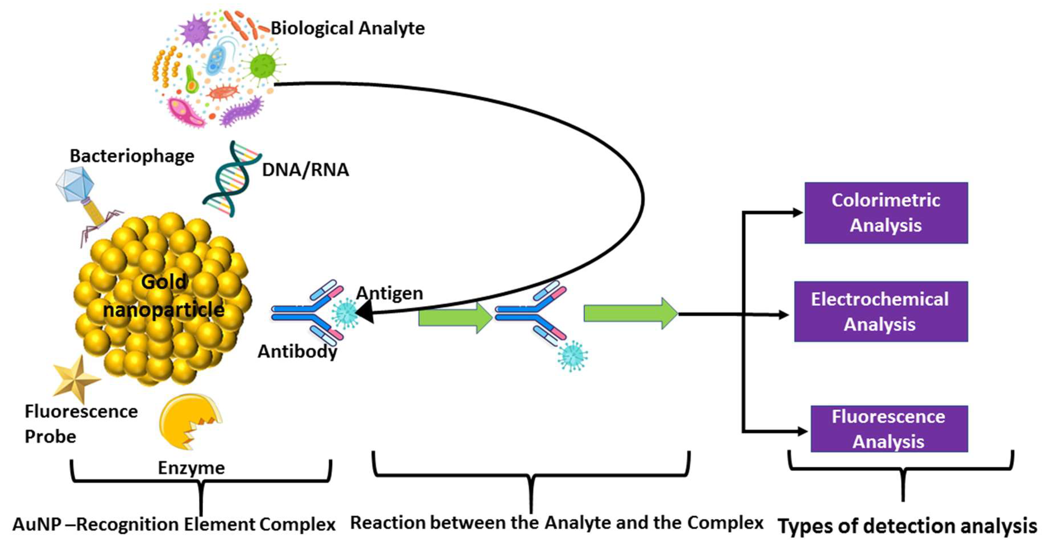 Preprints 189434 g005