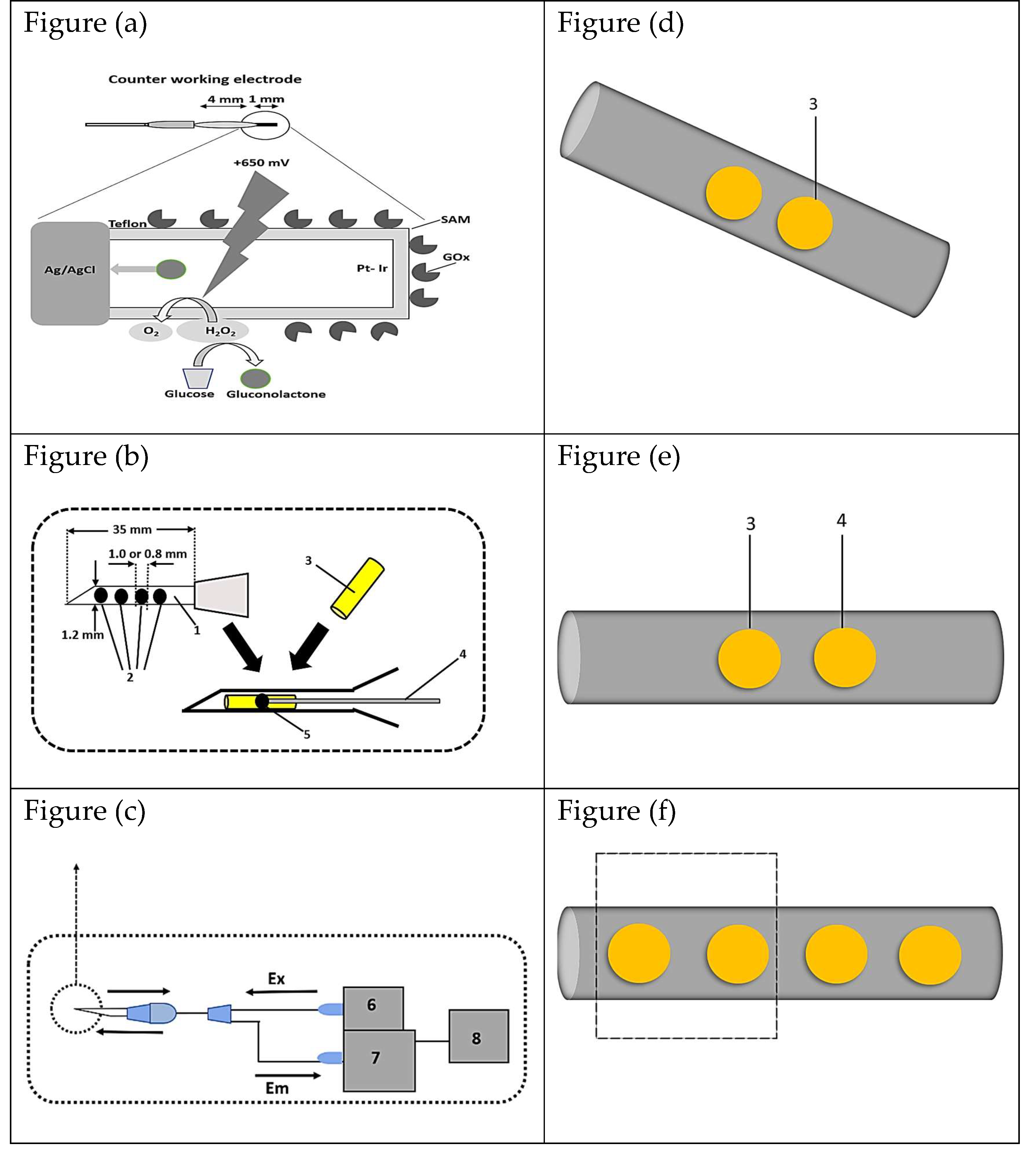 Preprints 189434 g012