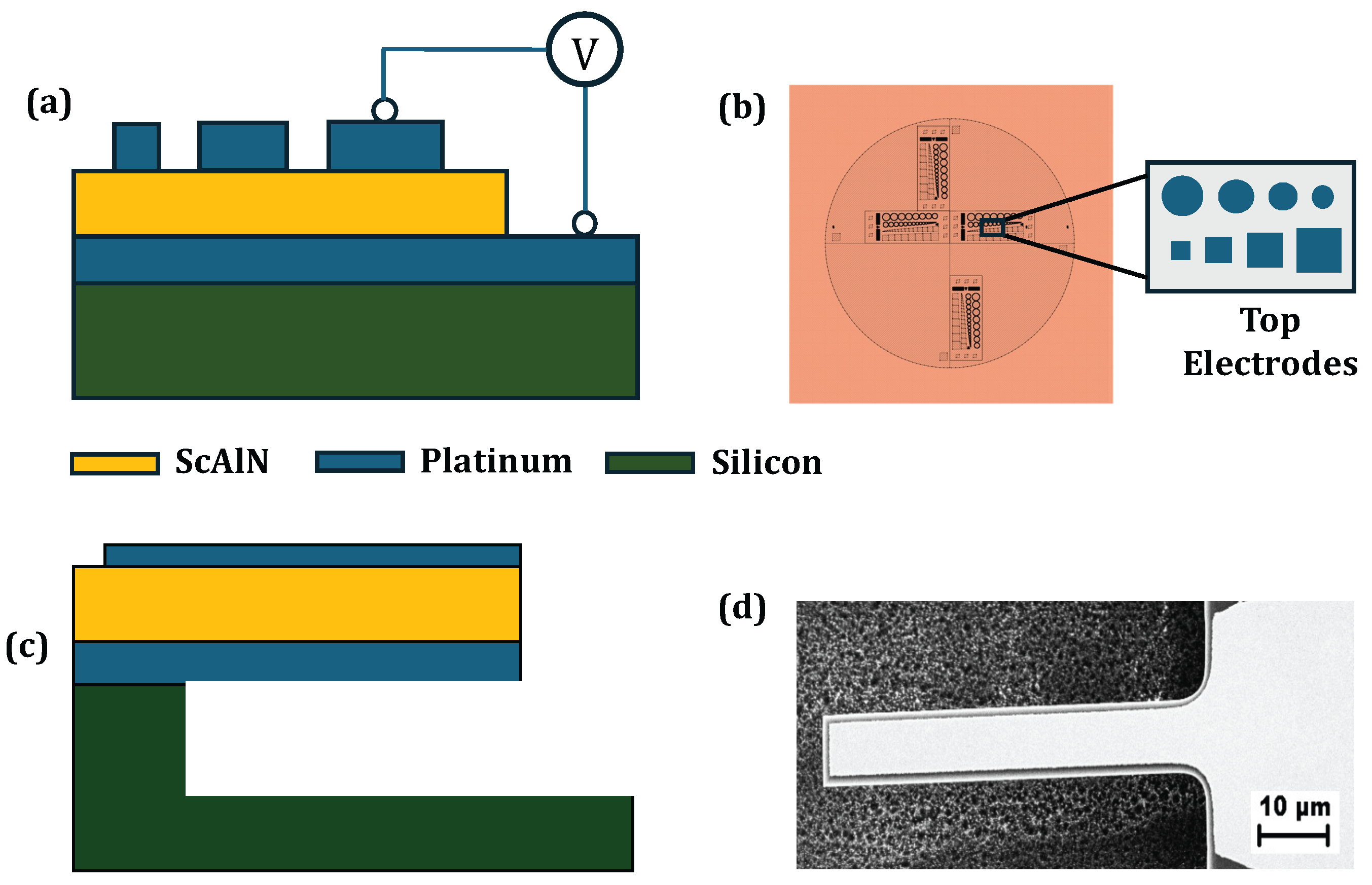 Preprints 194714 g001
