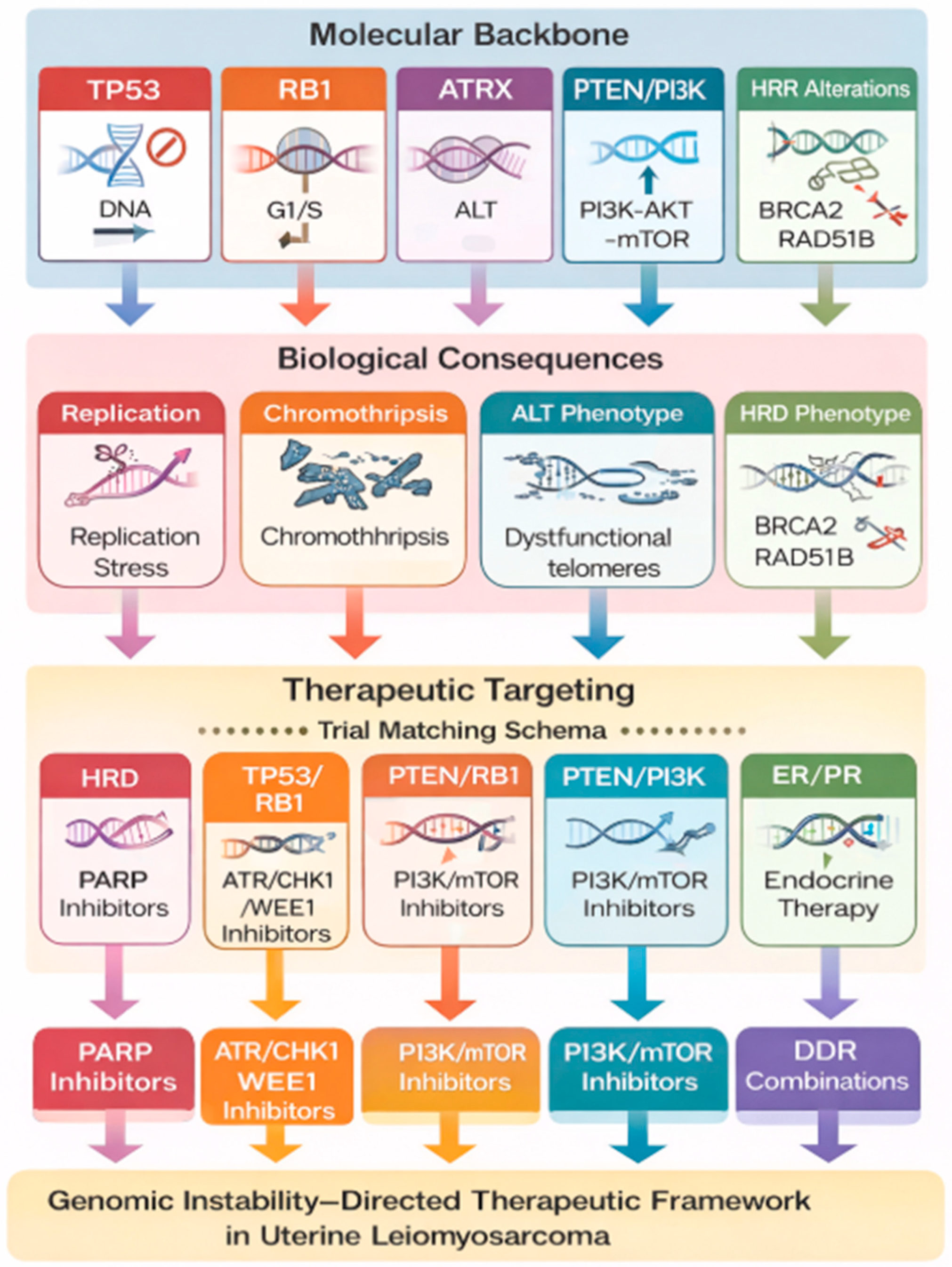 Preprints 219078 g001 Preprints 219078 g001