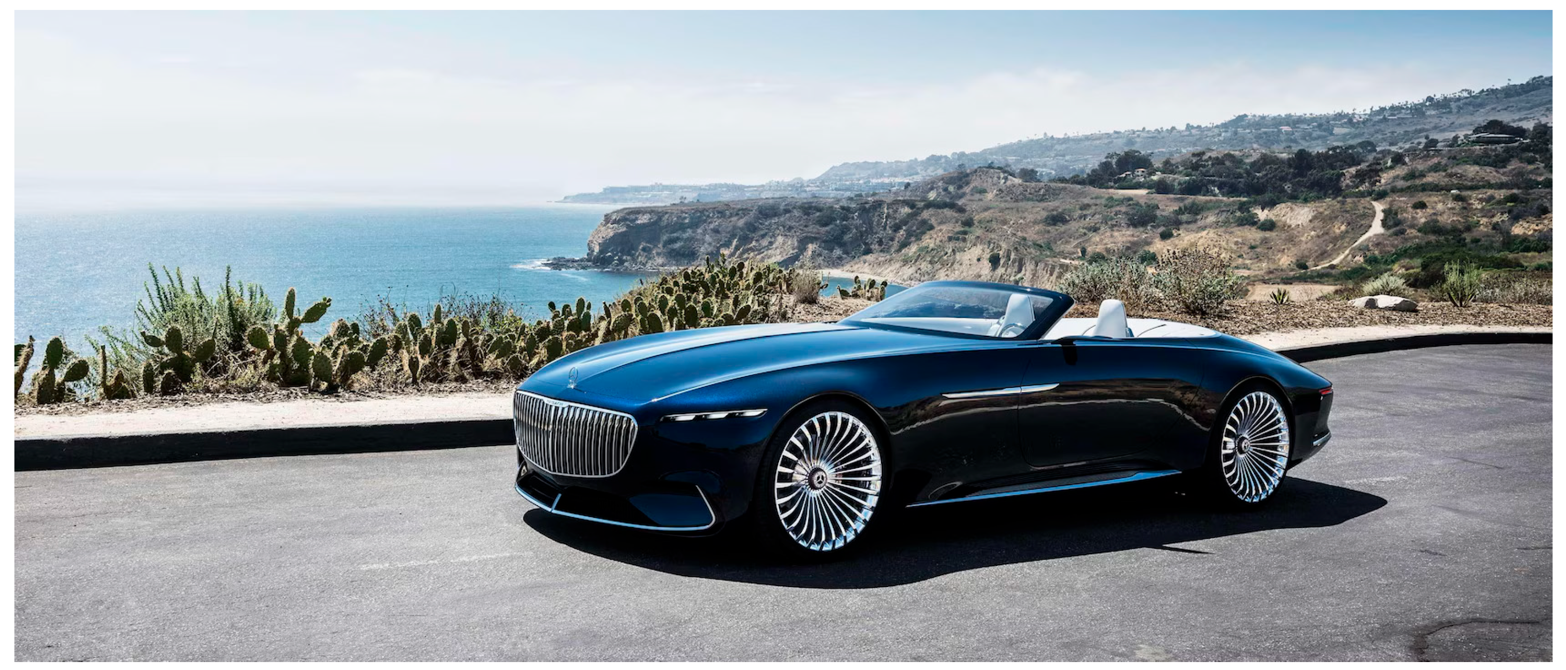 Preprints 196549 g001