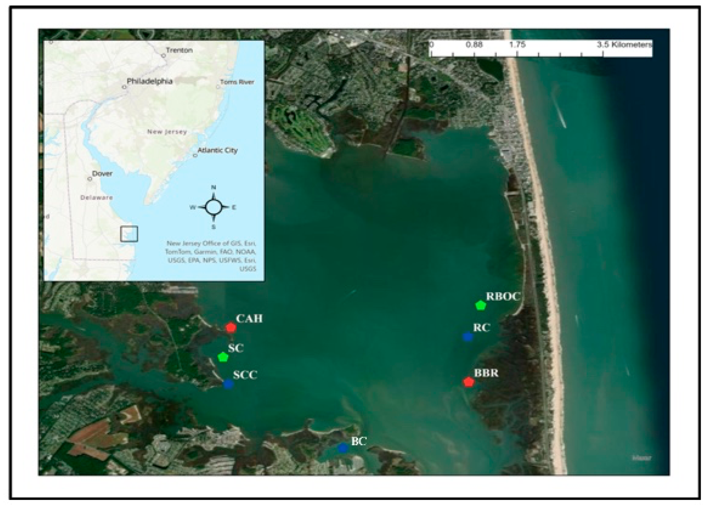 Preprints 157198 g001