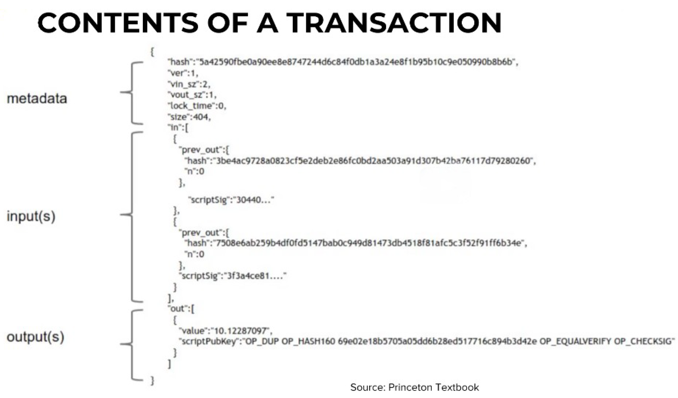 Preprints 154048 g004