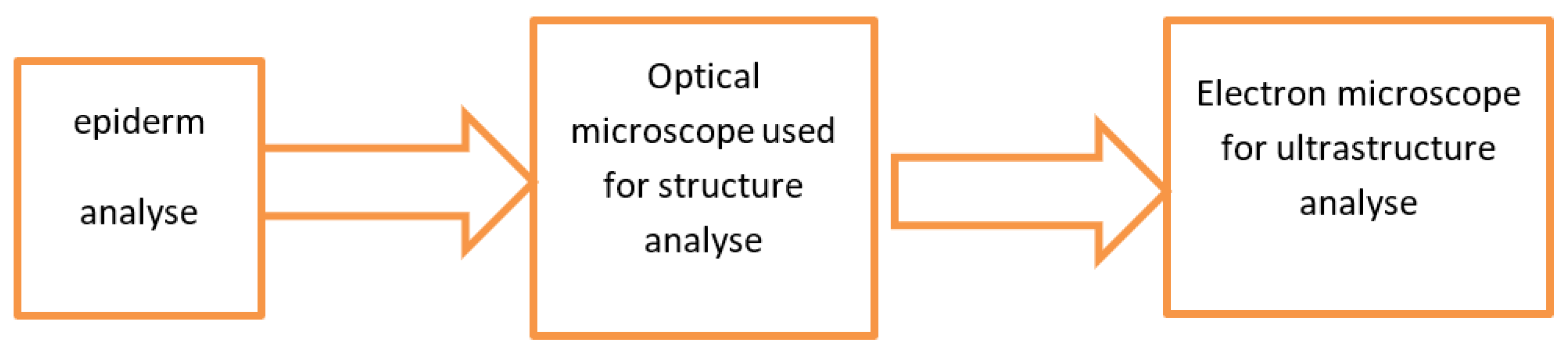 Preprints 96351 g001