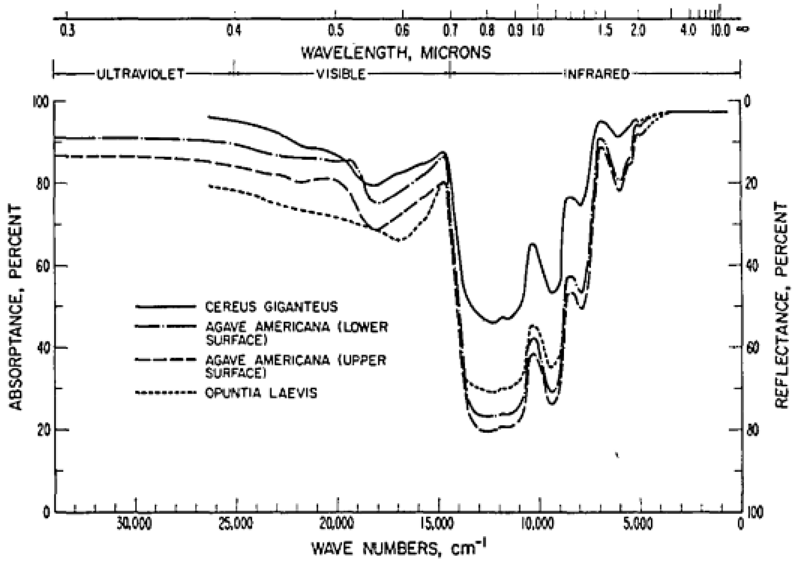Preprints 108762 g001