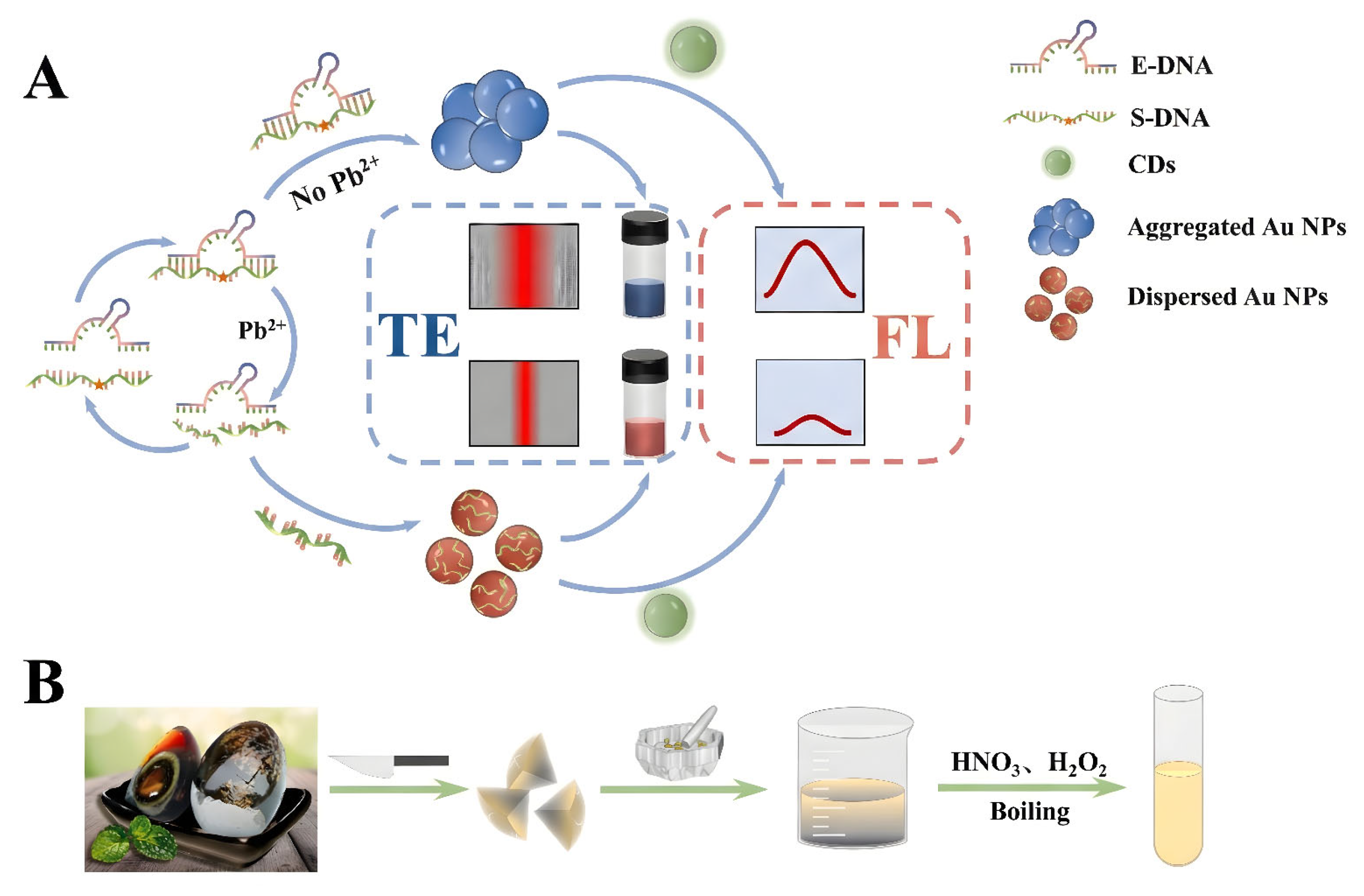 Preprints 194648 g006