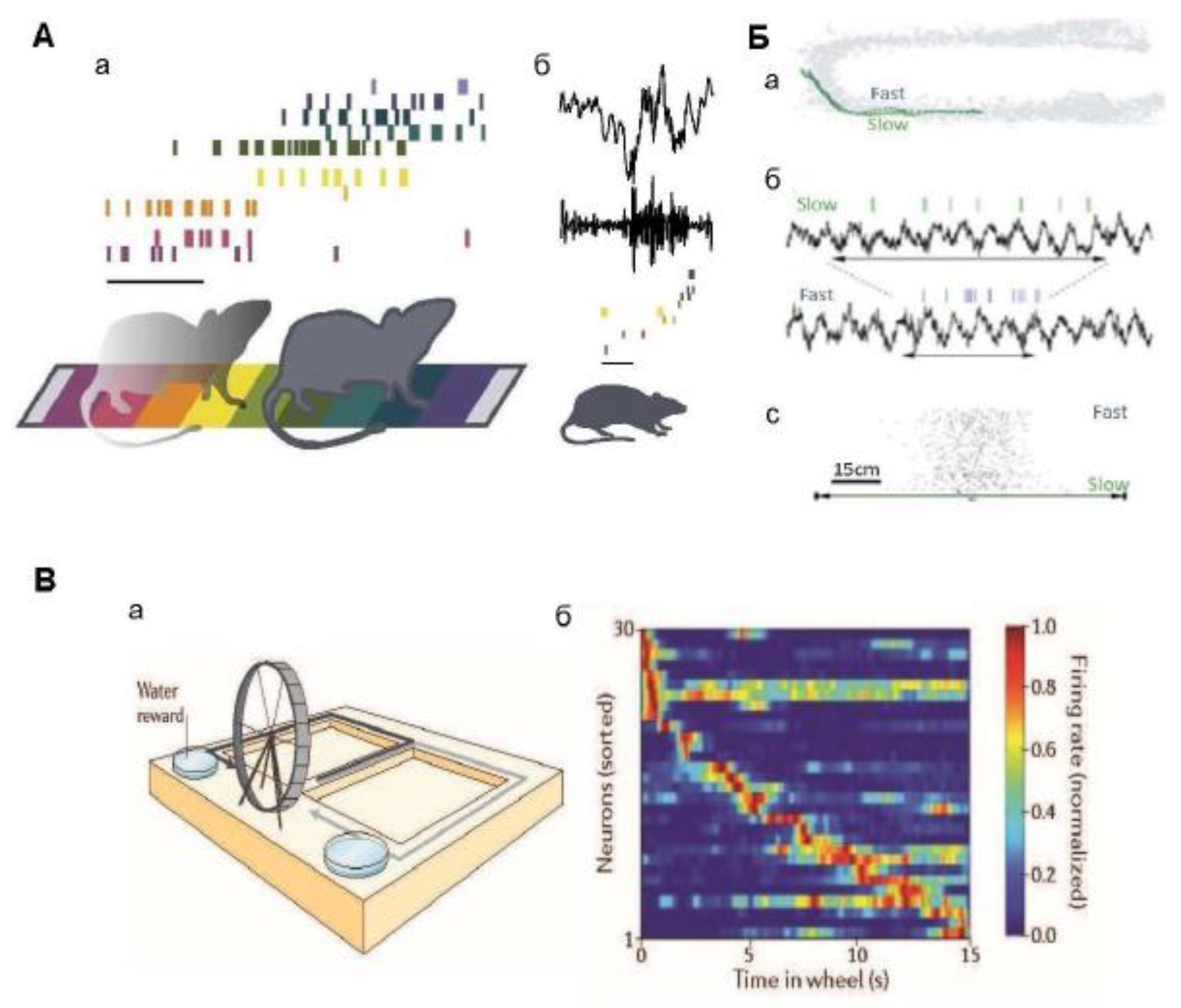 Preprints 189303 g002