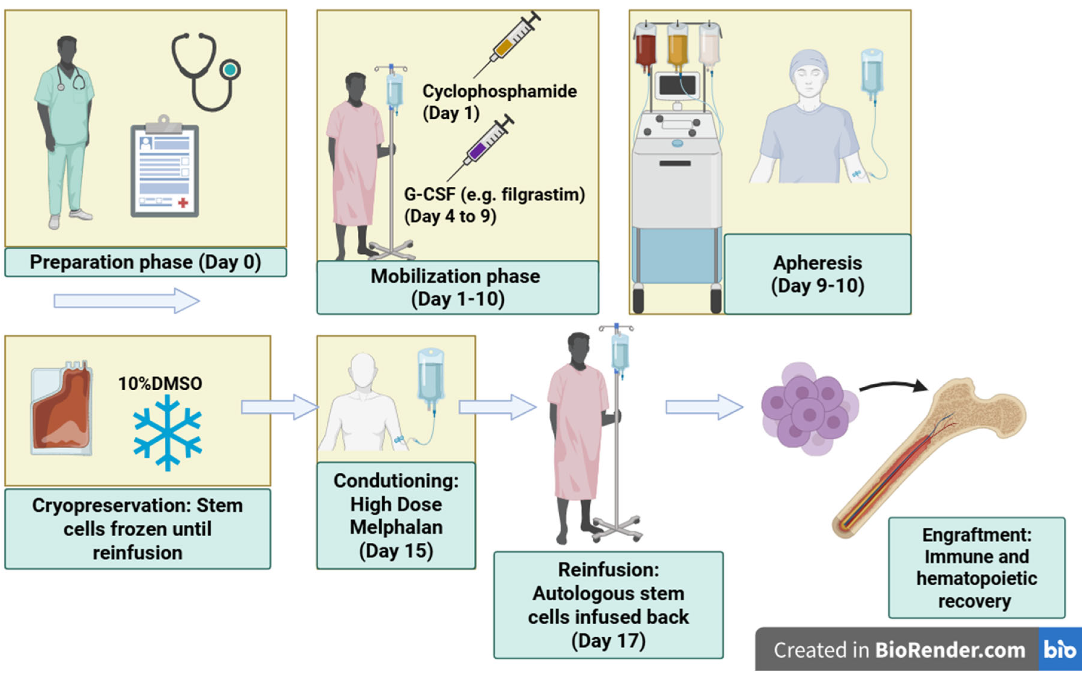Preprints 188761 g002