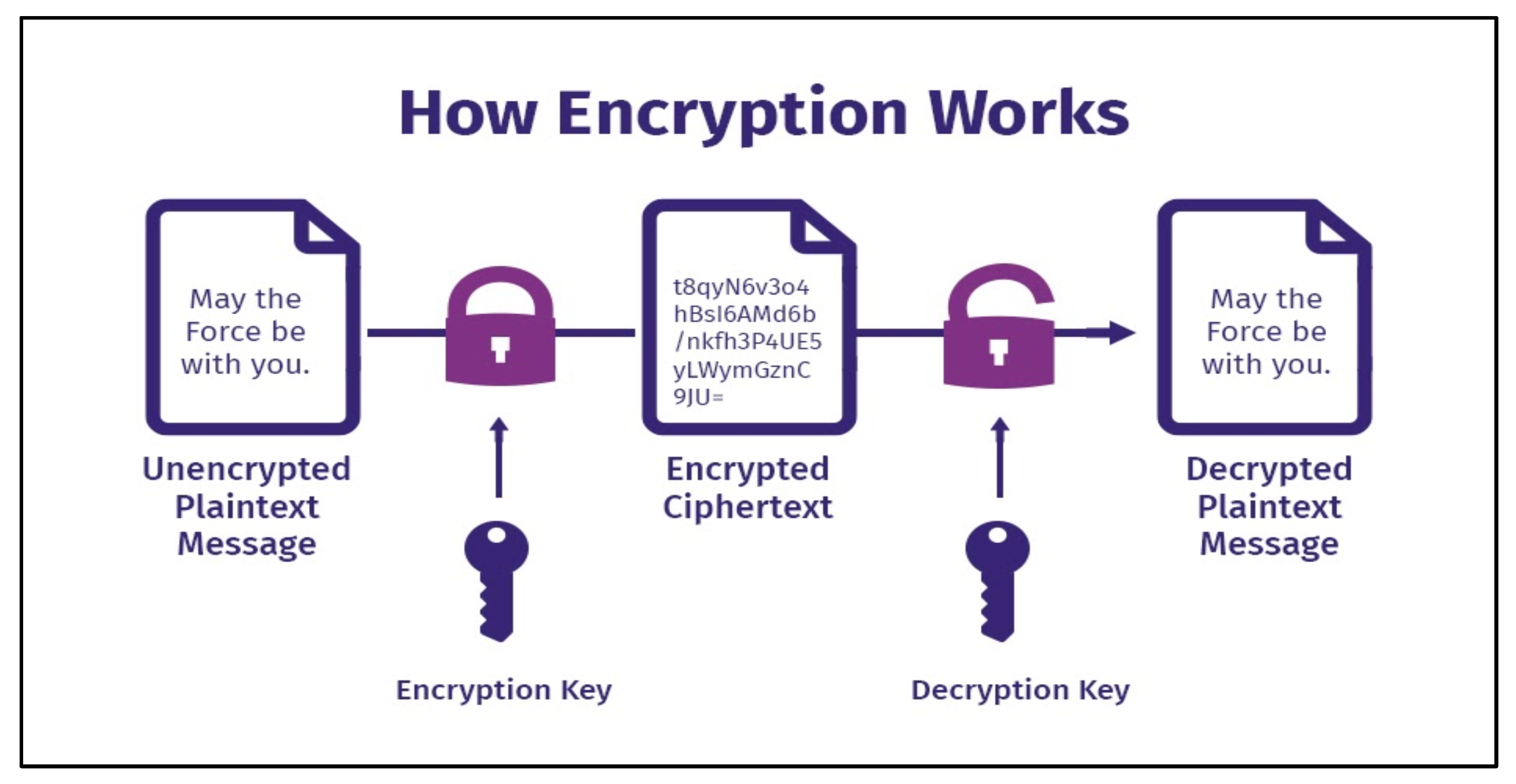 Preprints 145255 g001