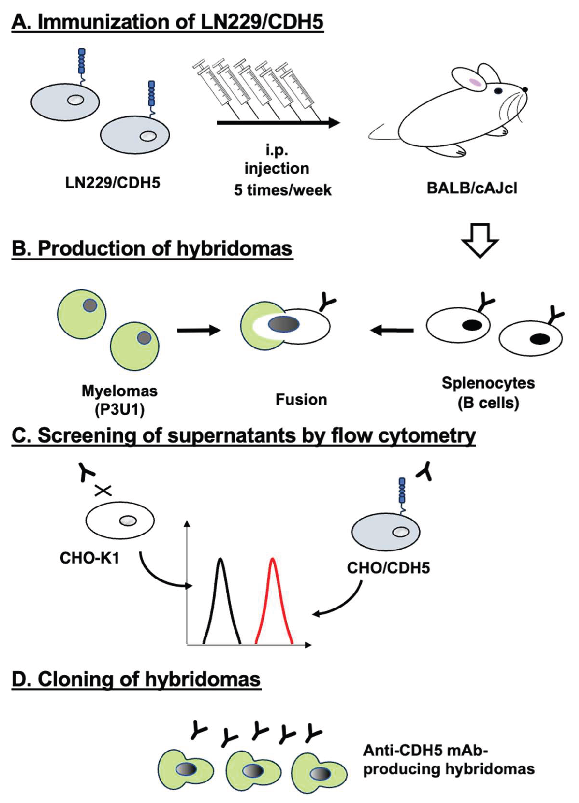 Preprints 191487 g001