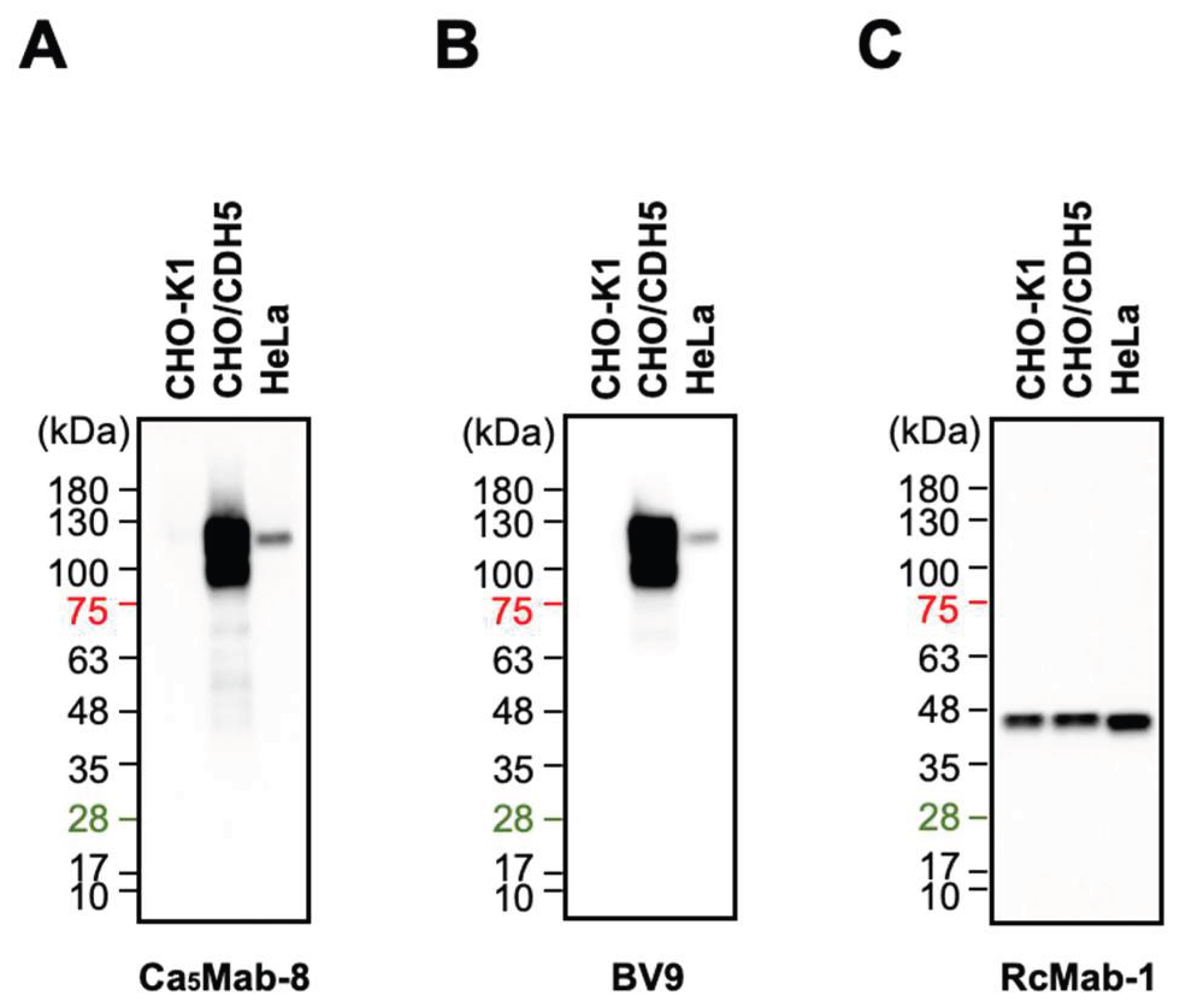 Preprints 191487 g005