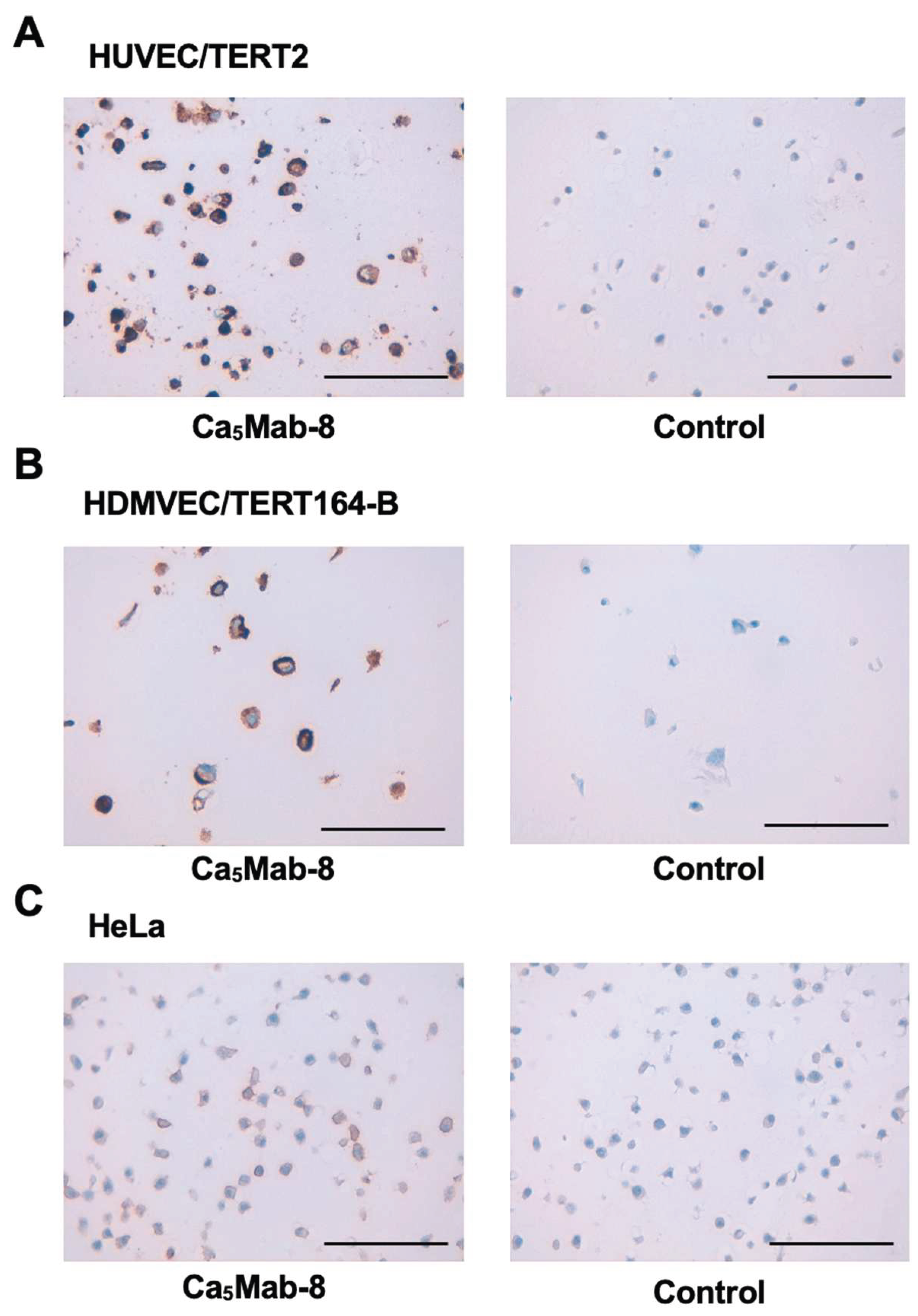 Preprints 191487 g006