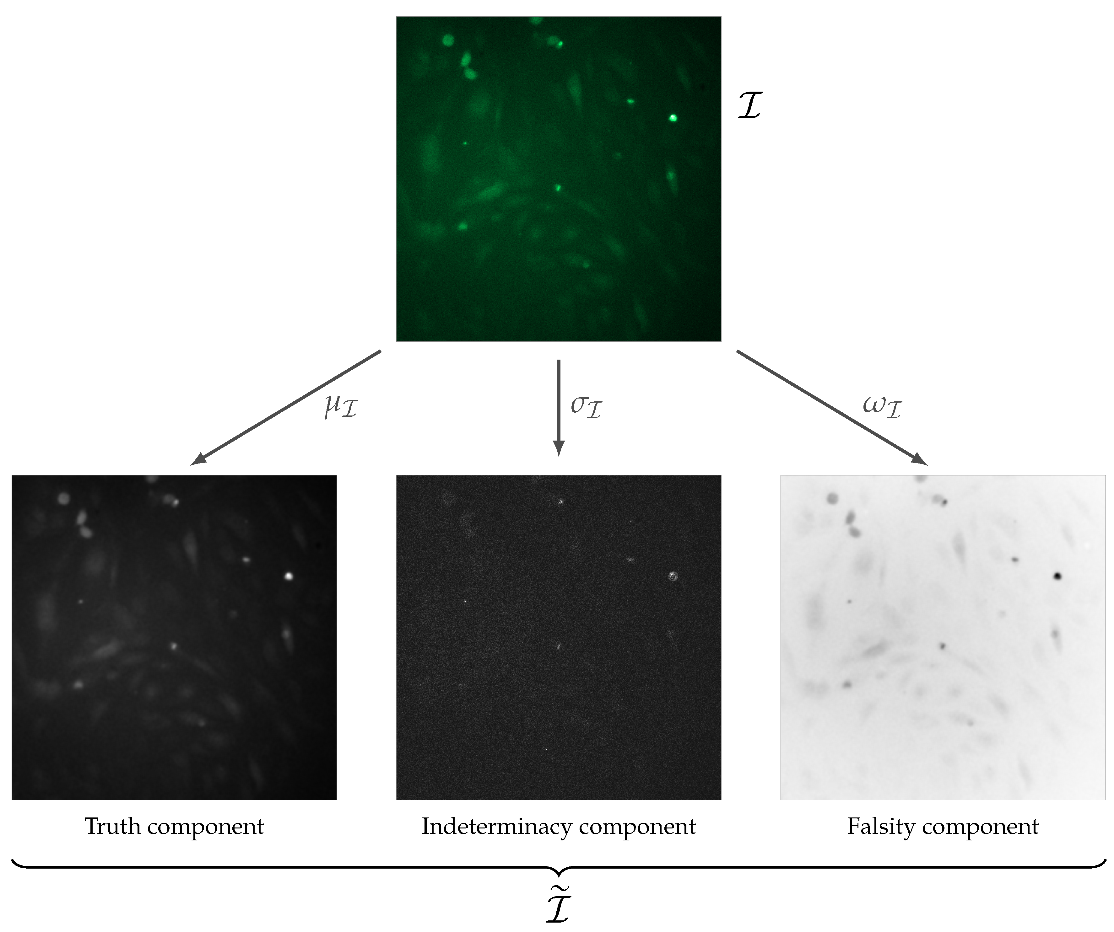 Preprints 230118 g001