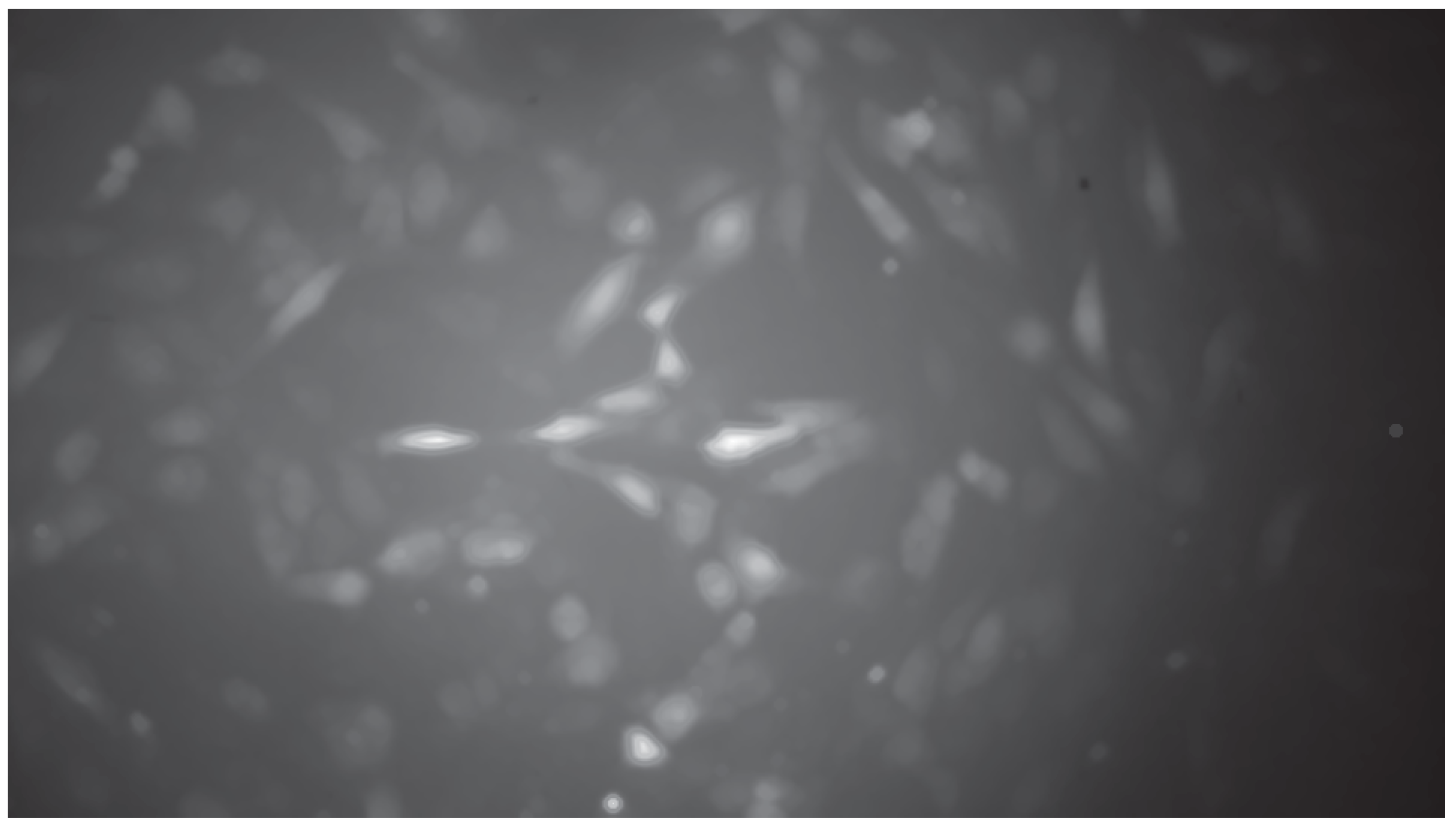 Preprints 230118 g003