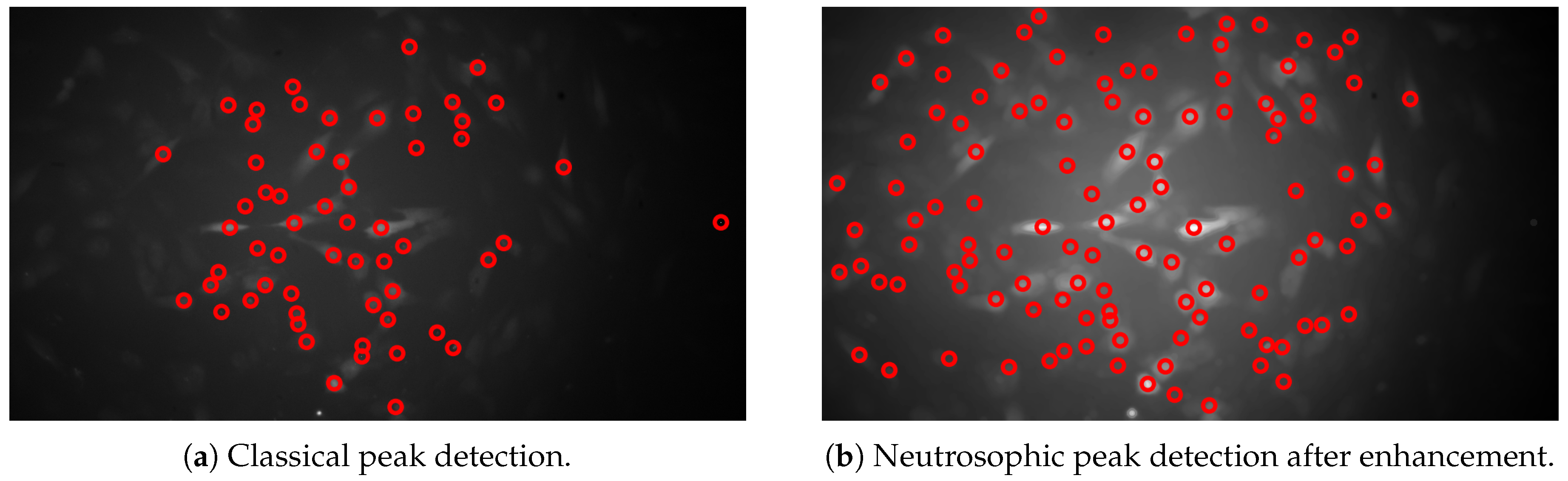 Preprints 230118 g005