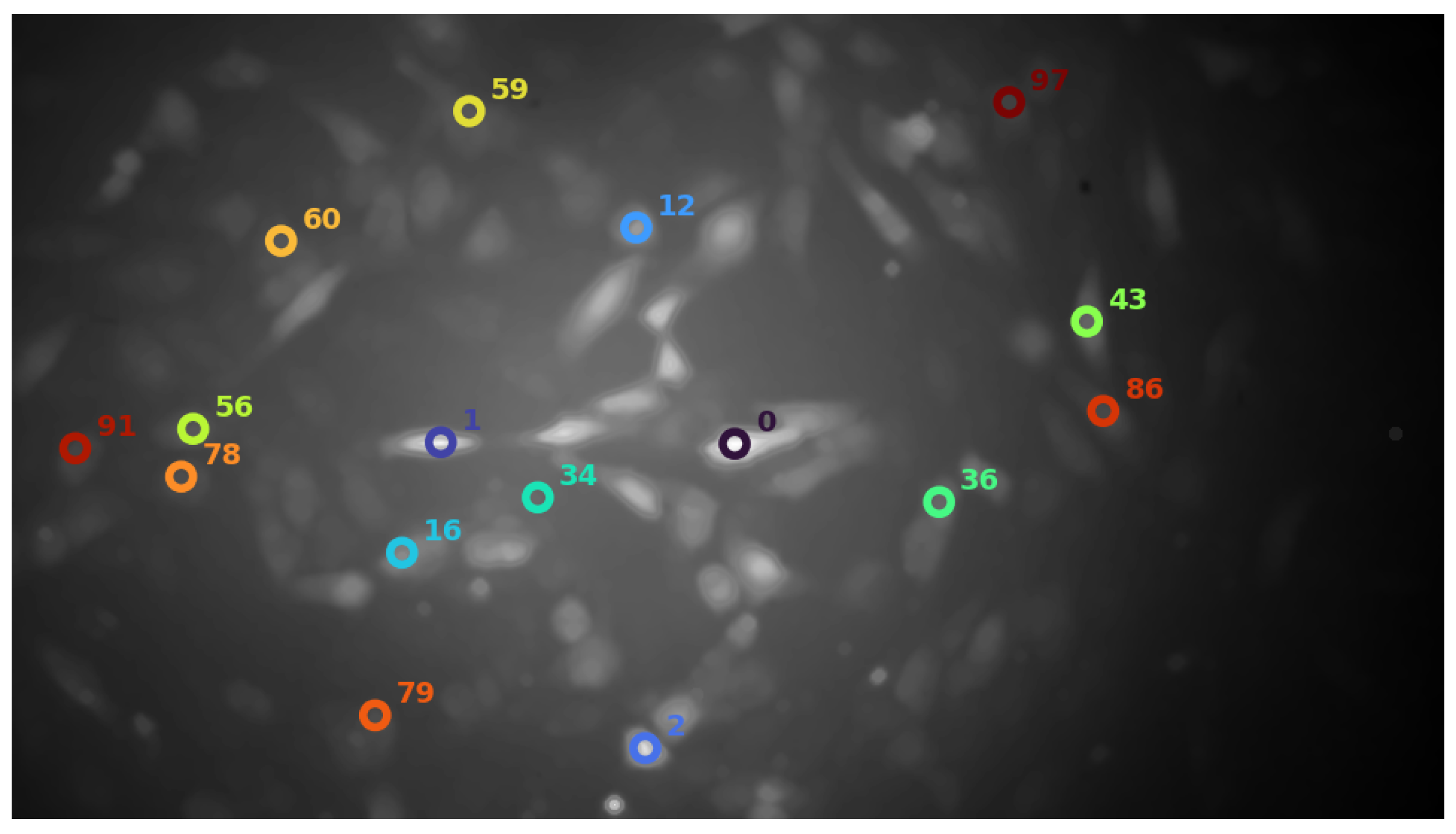 Preprints 230118 g006