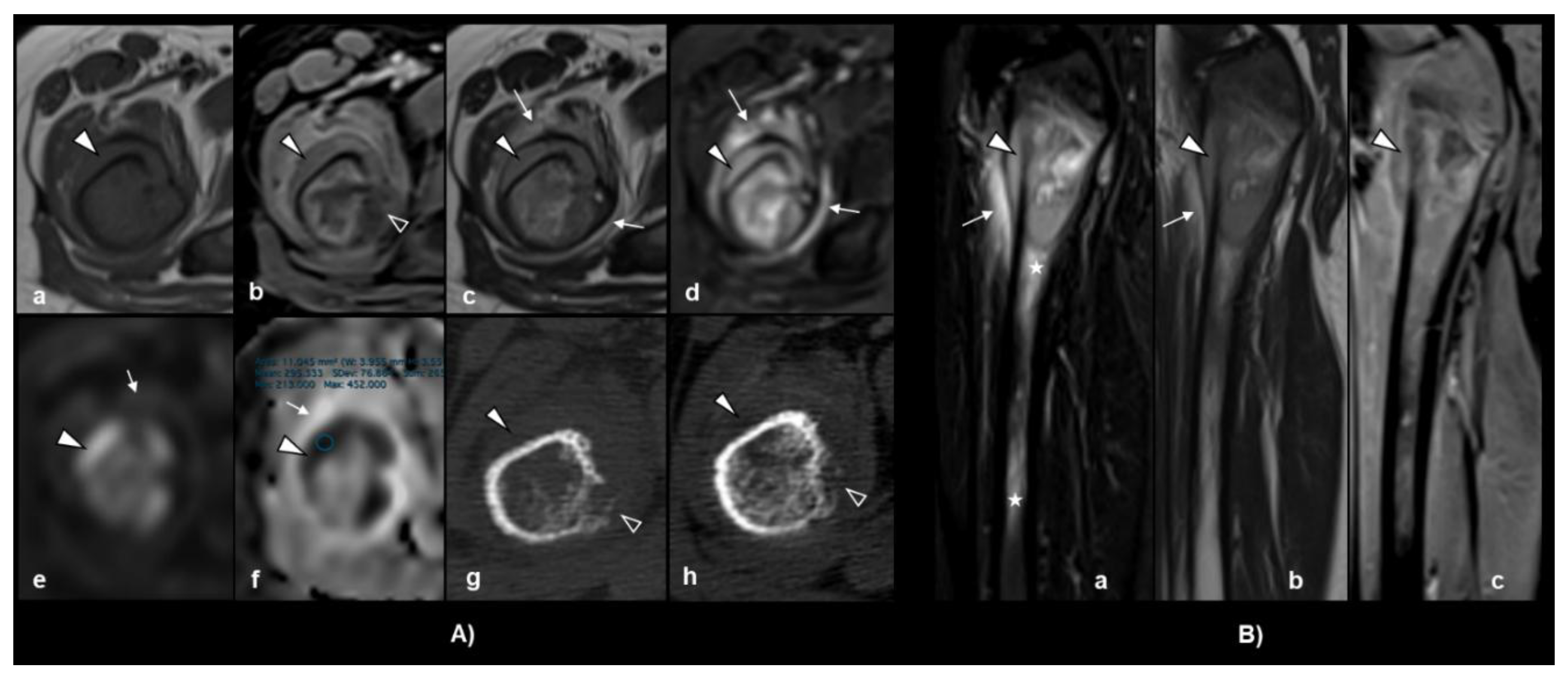 Preprints 158960 g003