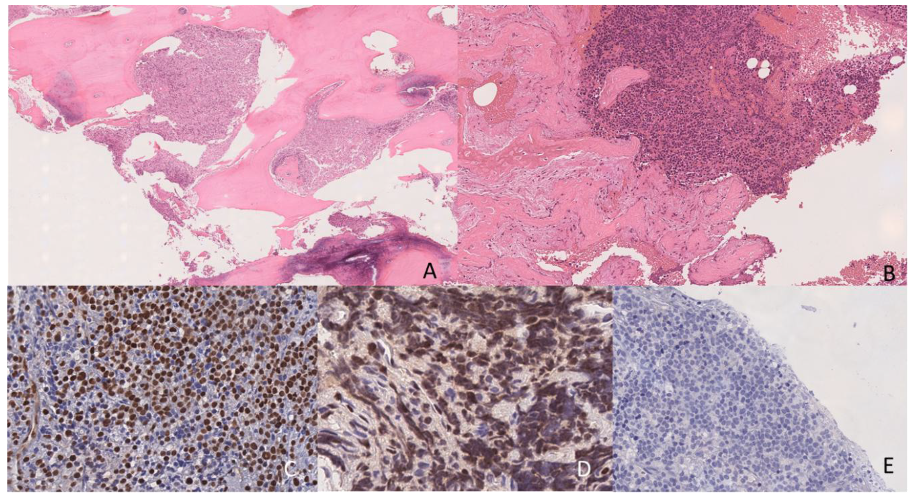 Preprints 158960 g004