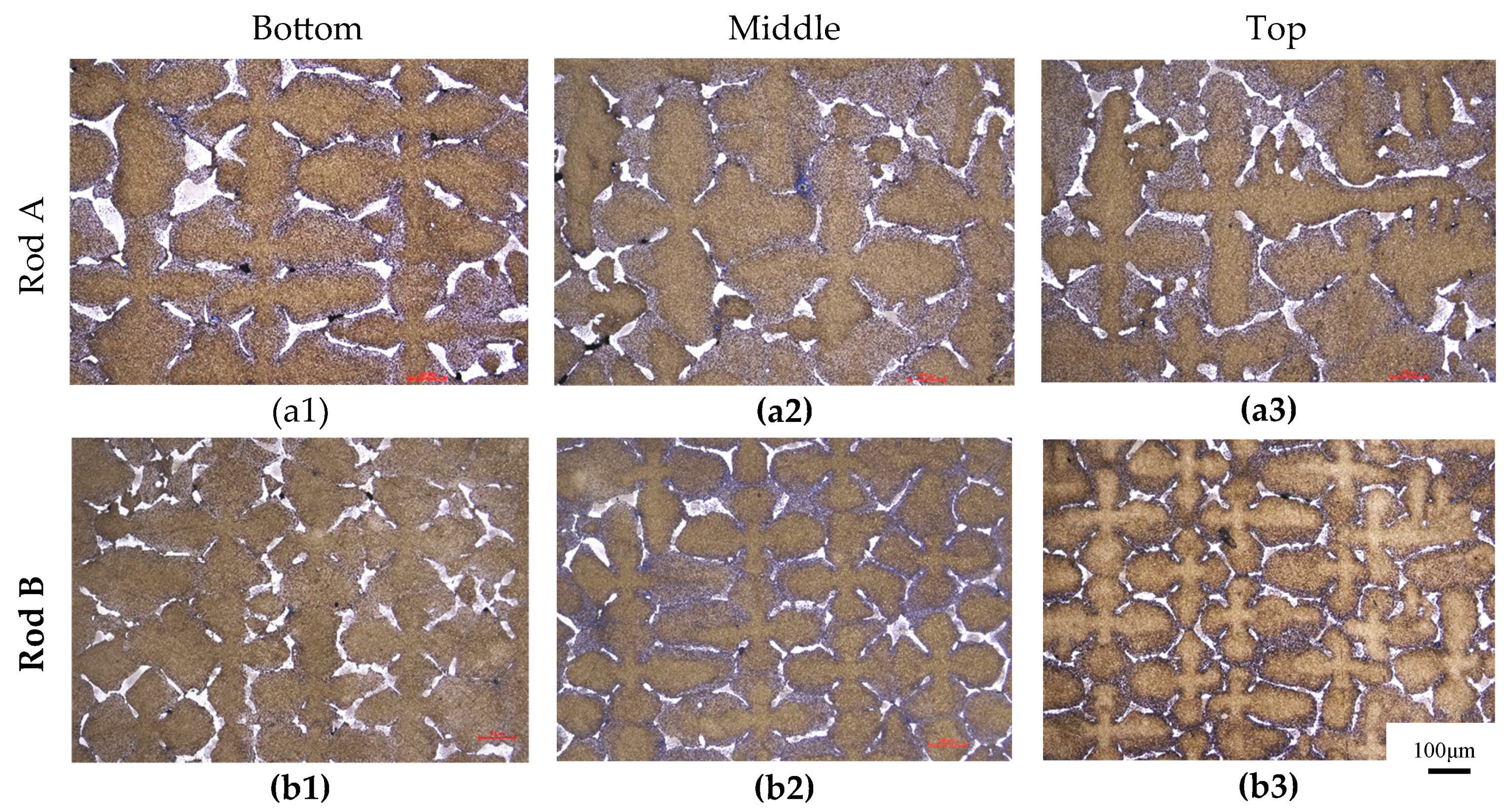 Preprints 149306 g001