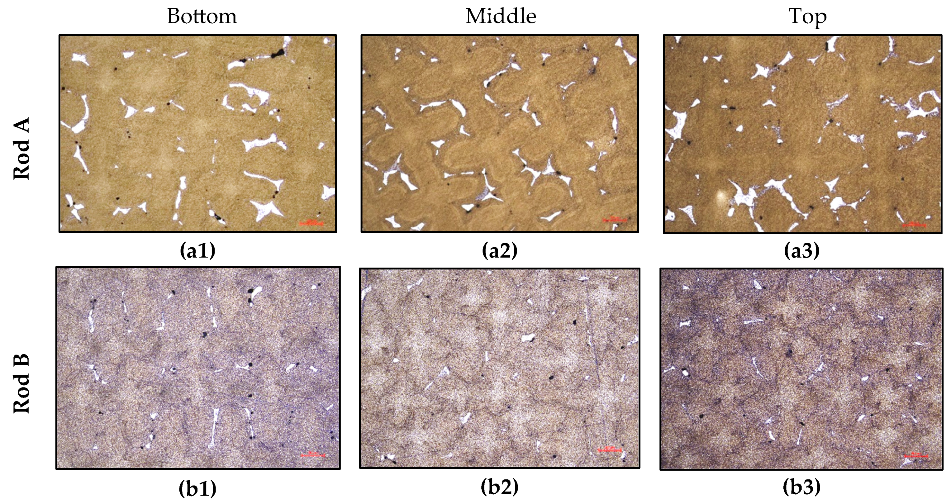Preprints 149306 g004