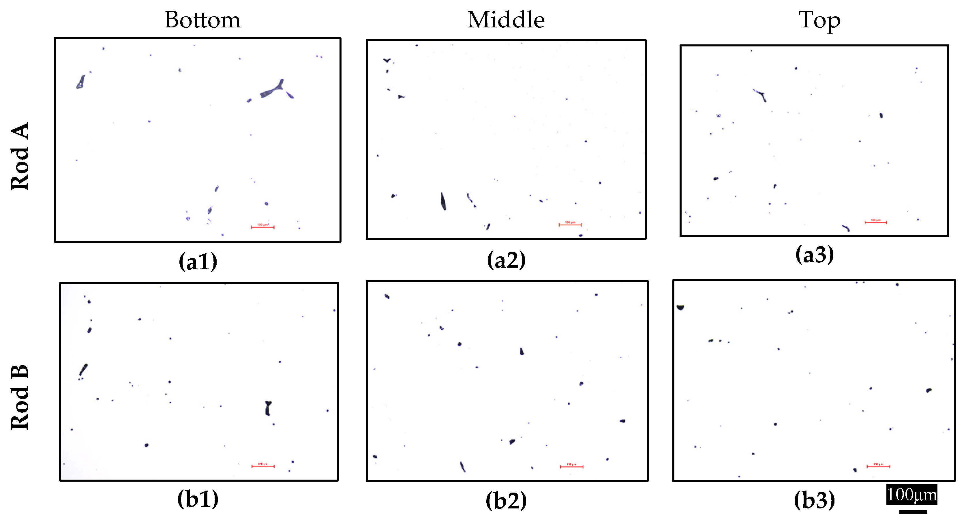 Preprints 149306 g008