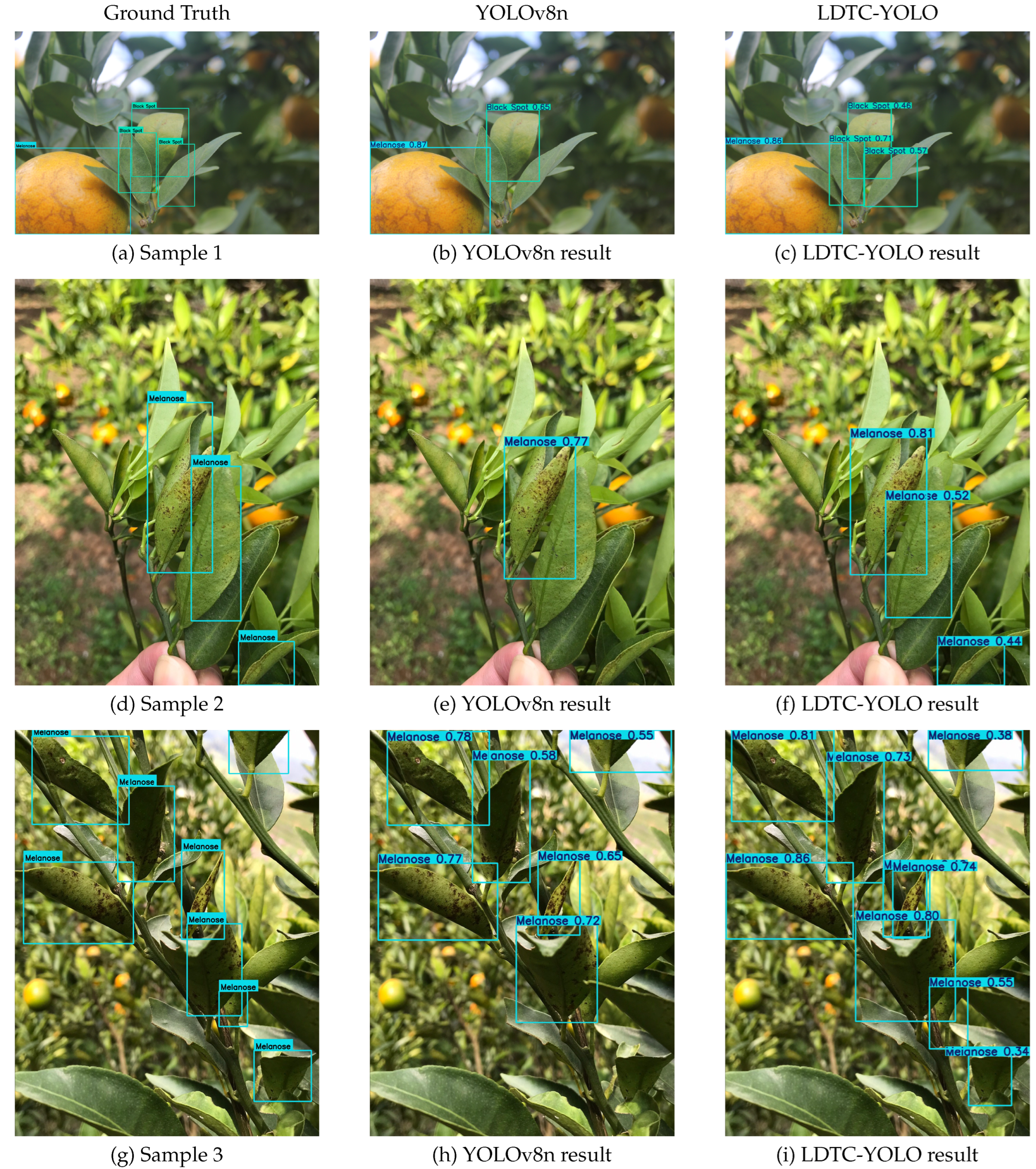 Preprints 214243 g008
