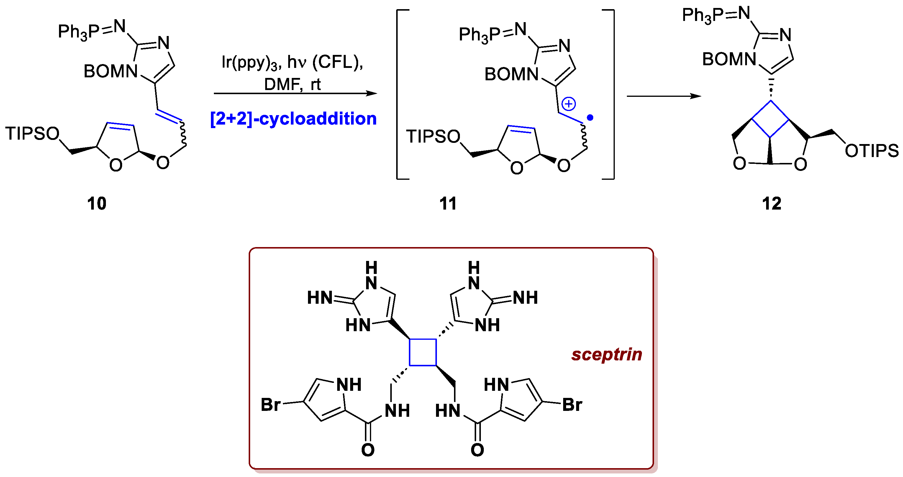 Preprints 186128 sch005